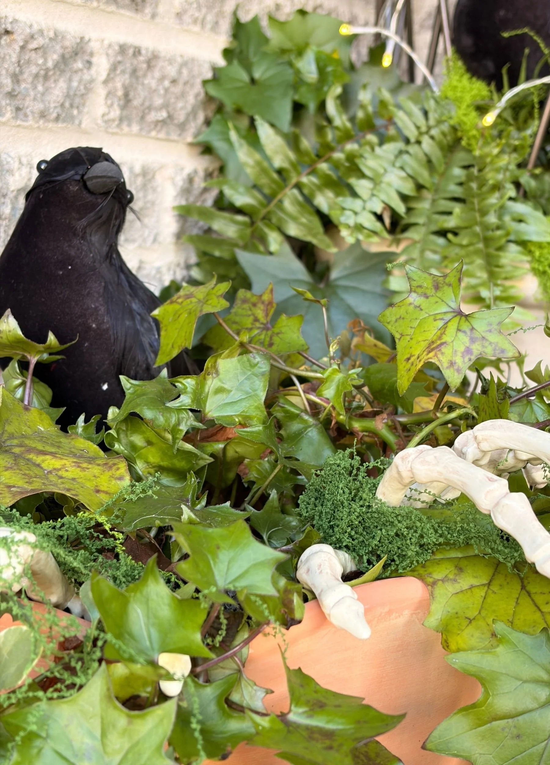 Raven, Ivy &amp; Skeleton Hand
