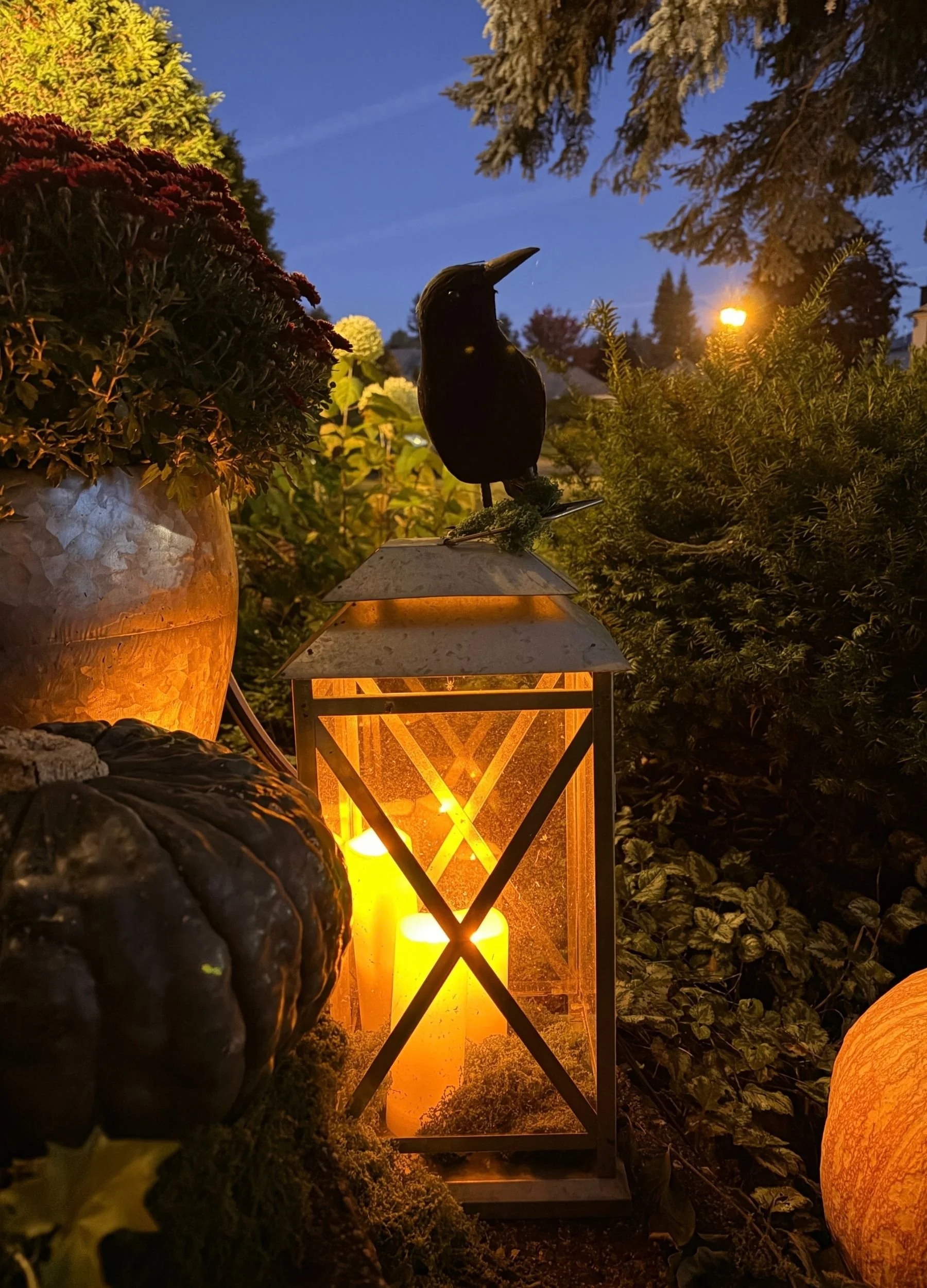 Raven &amp; Lantern Before Sunrise