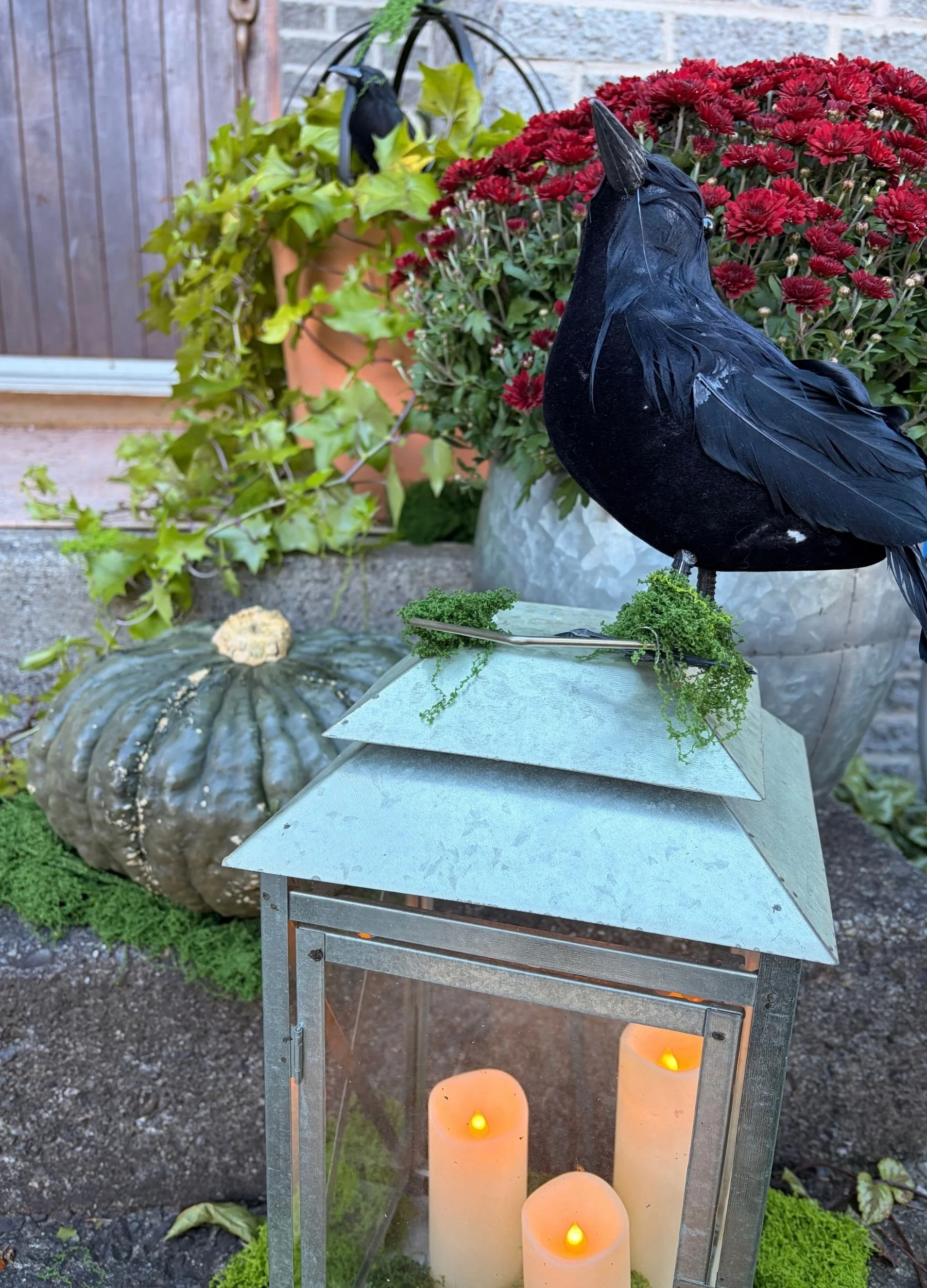 Raven &amp; Outdoor Lantern