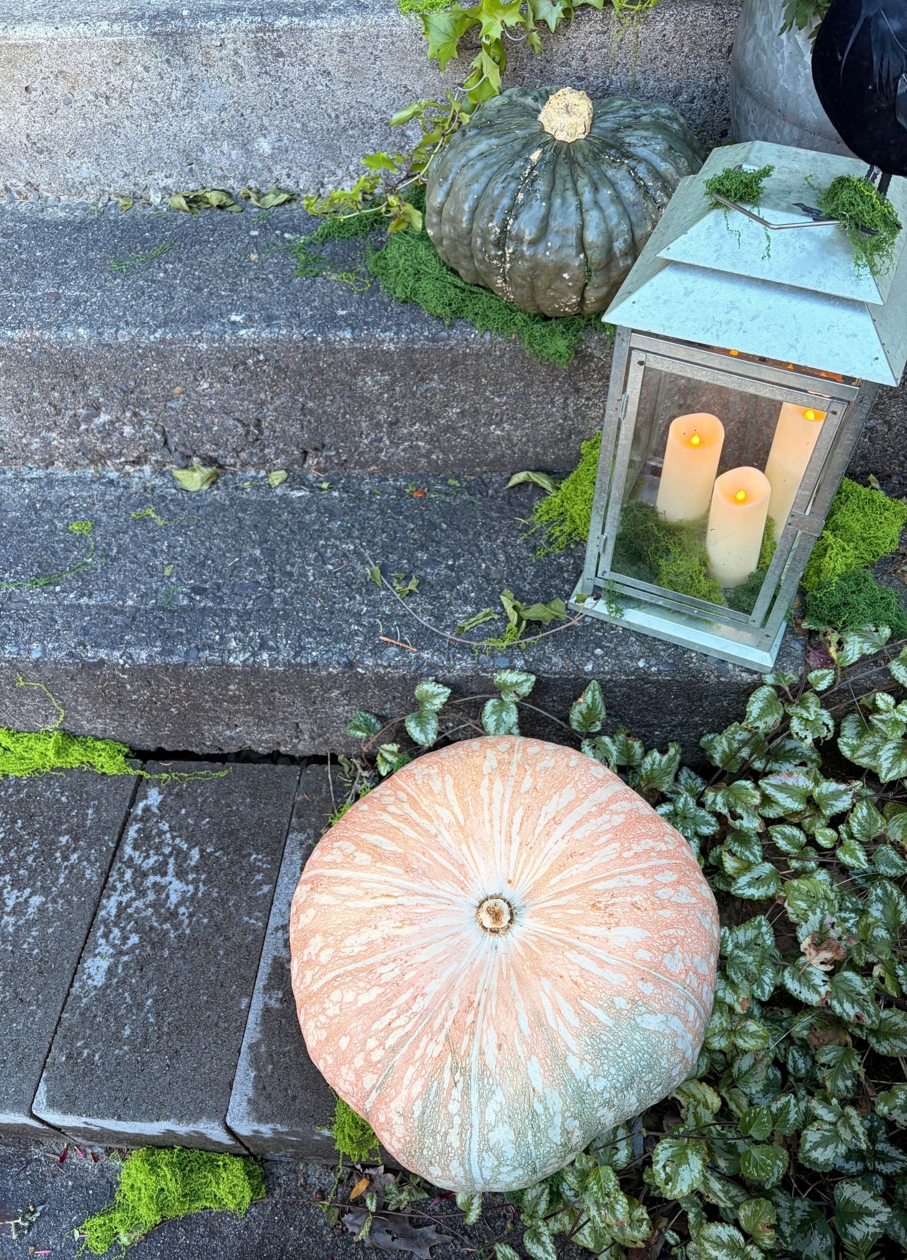 Peach Pumpkin &amp; Lantern