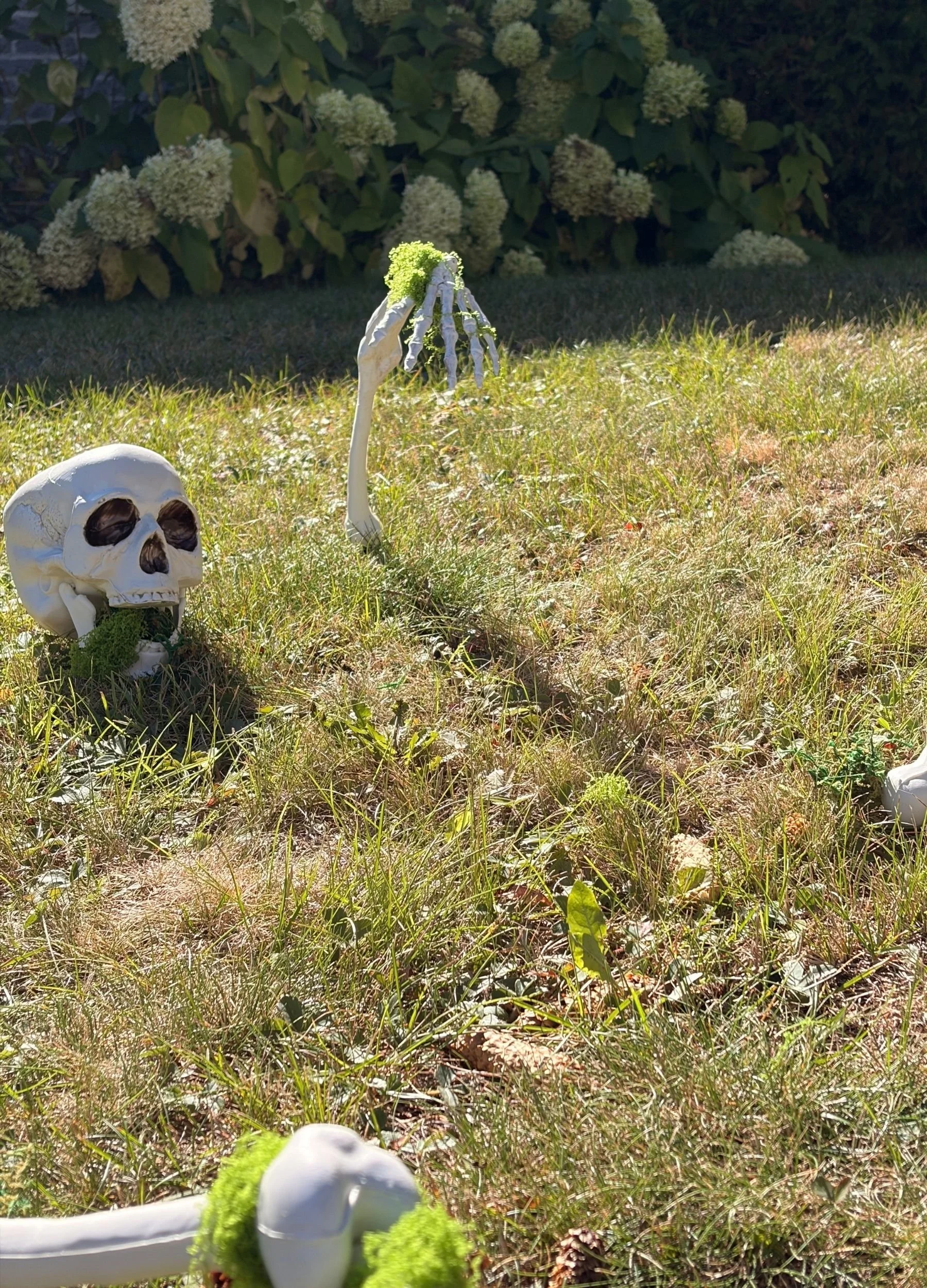 Skeleton in the Haunted Garden