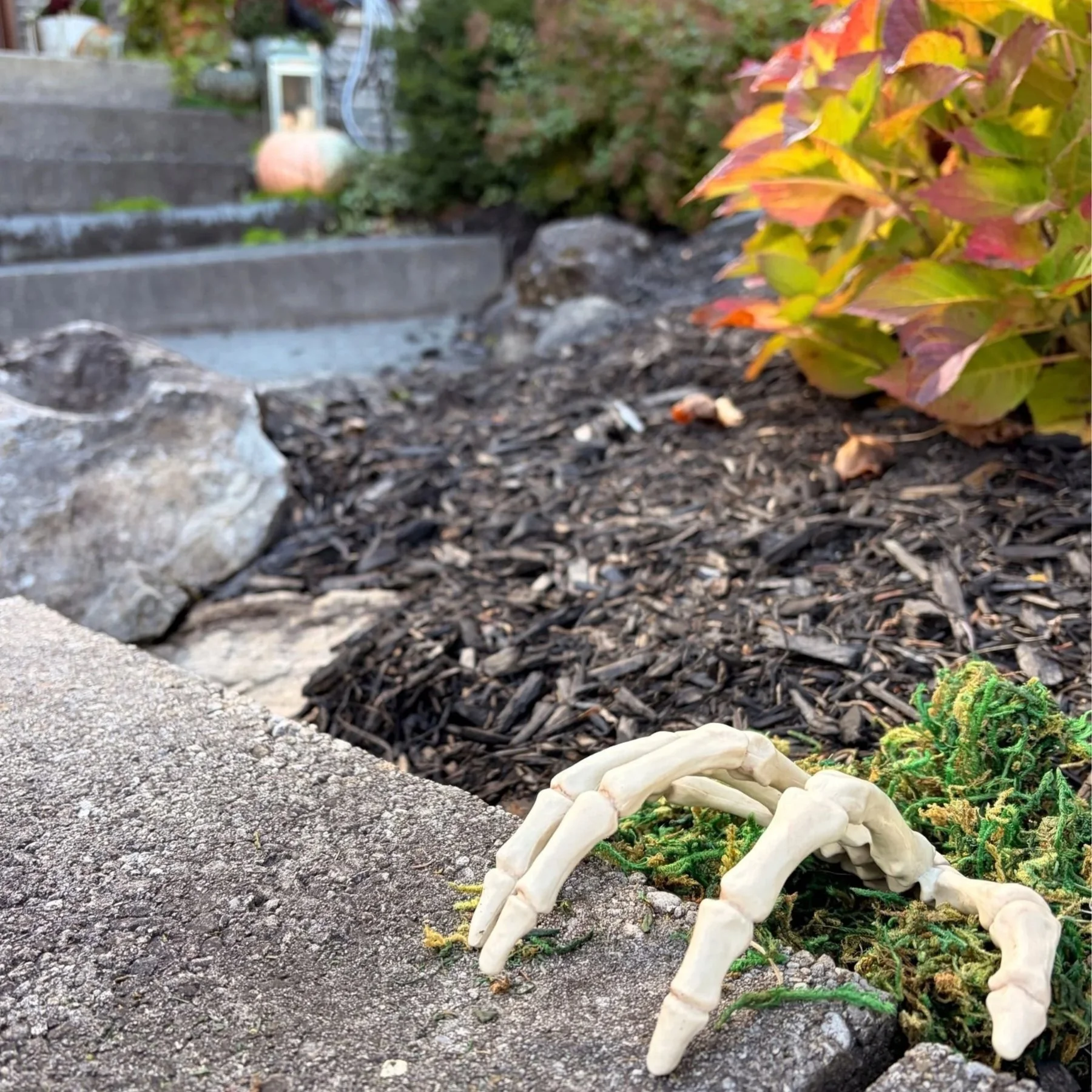 Skeleton Hands in the Garden