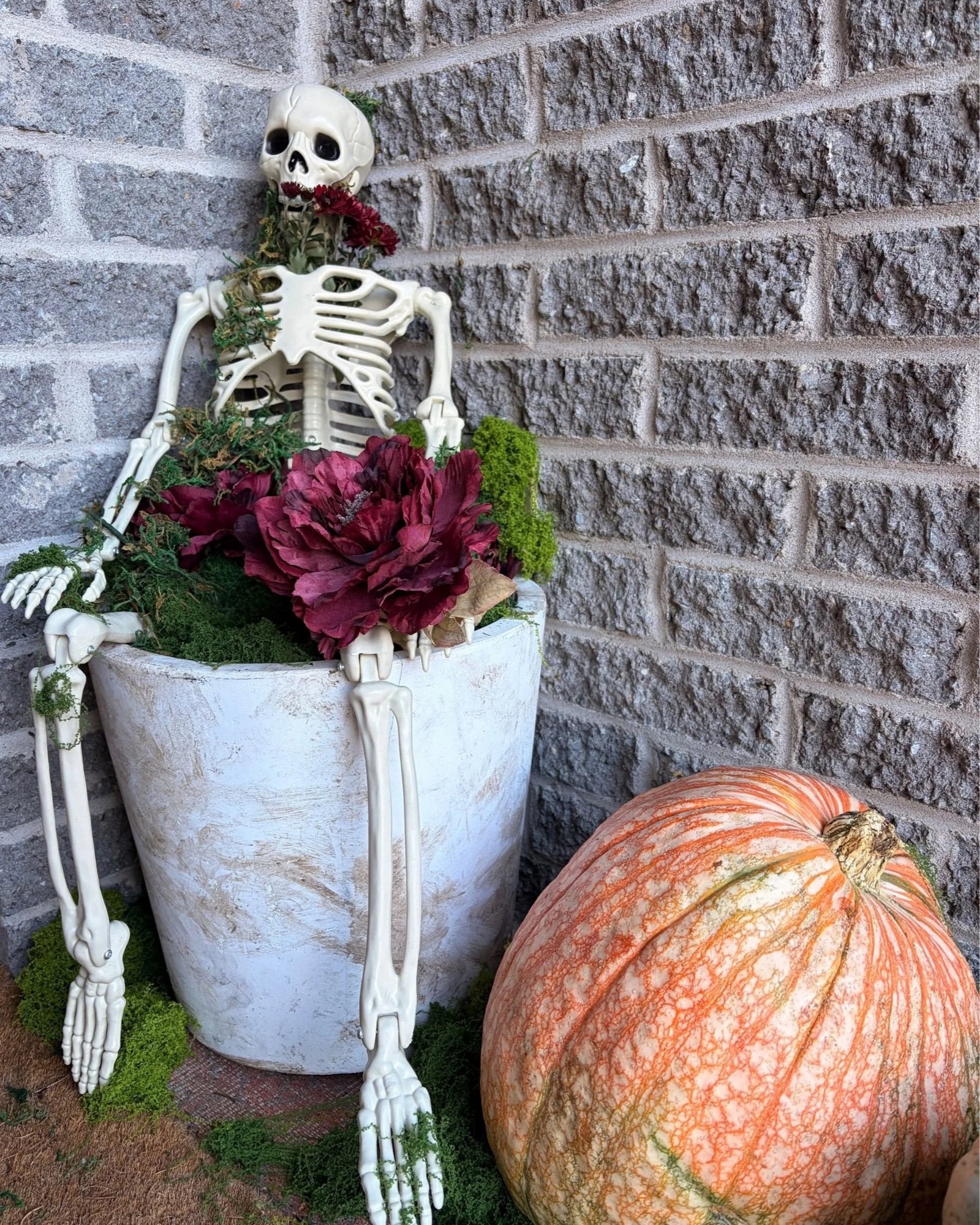 Skeleton in the Planter
