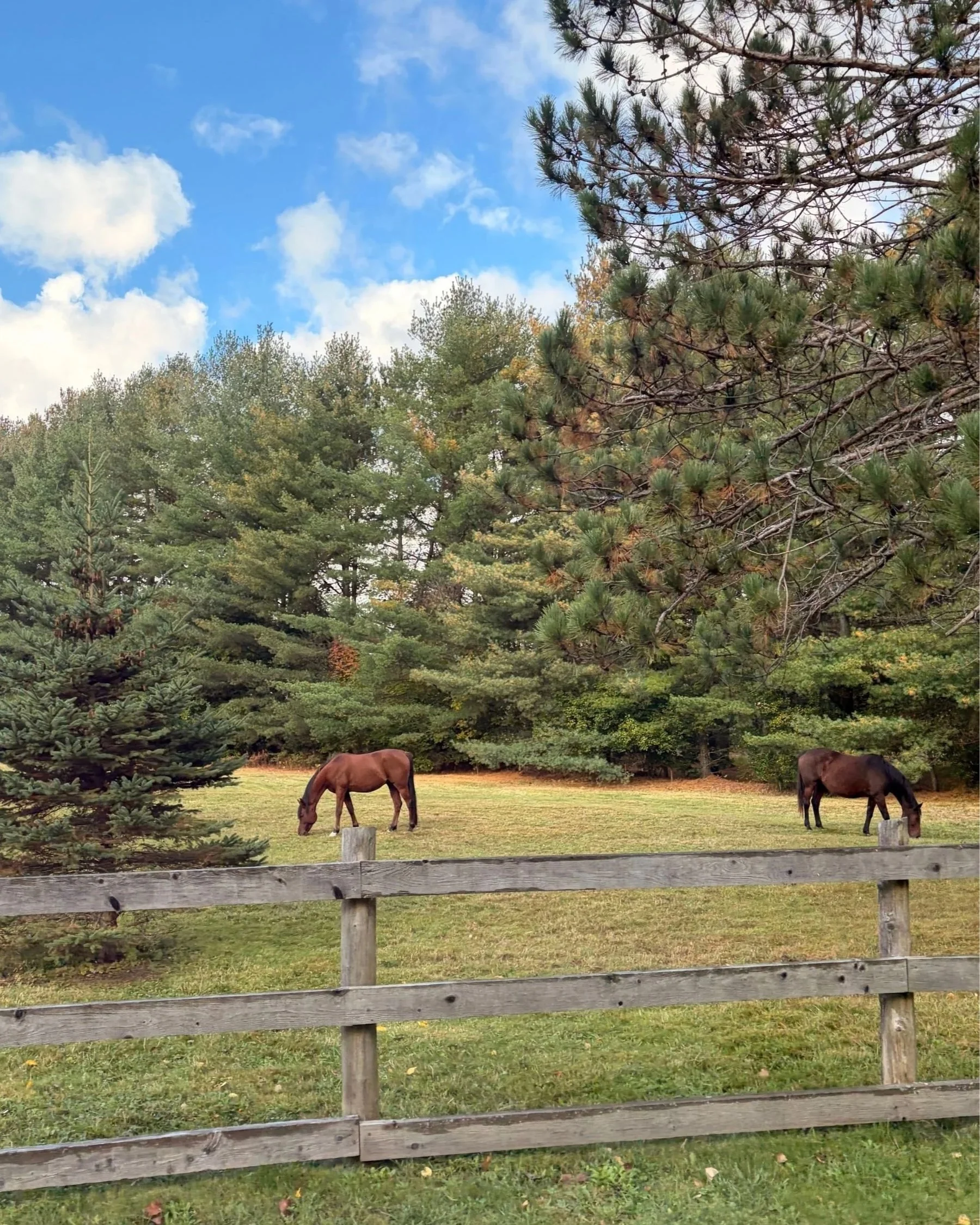 Fall in the Eastern Townships 