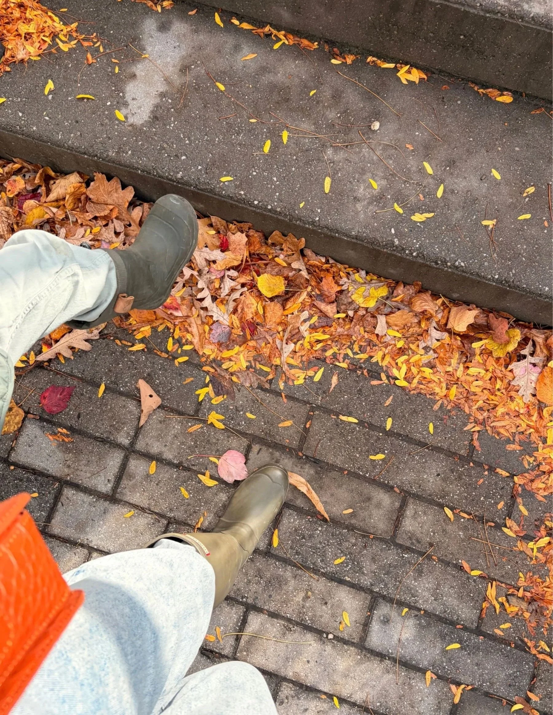Rubber Boots &amp; Autumn Leaves 