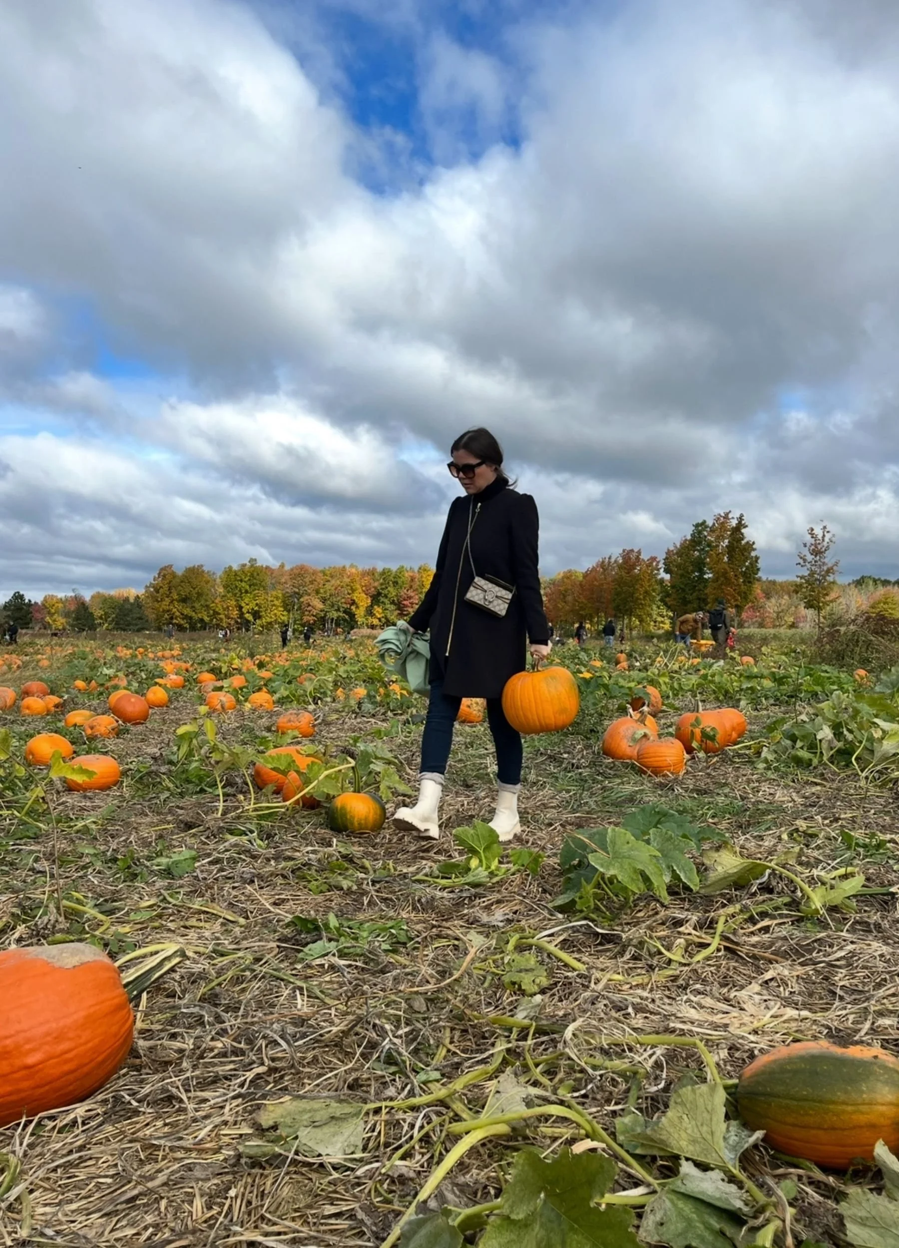 Woman carrying a pumpkin through a pumpkin patch on a cloudy autumn day.