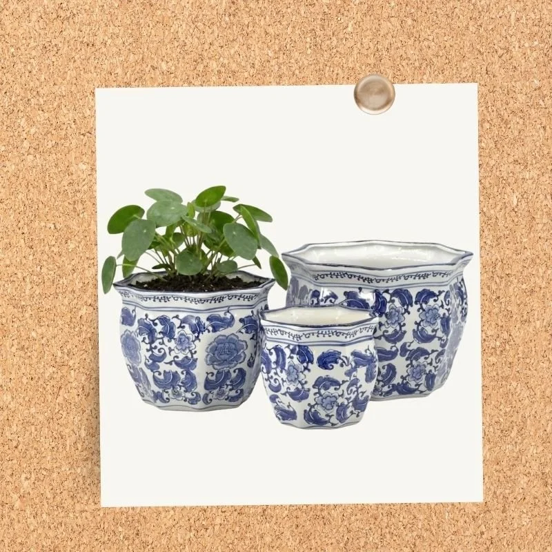 Blue and white chinoiserie-style planters with greenery