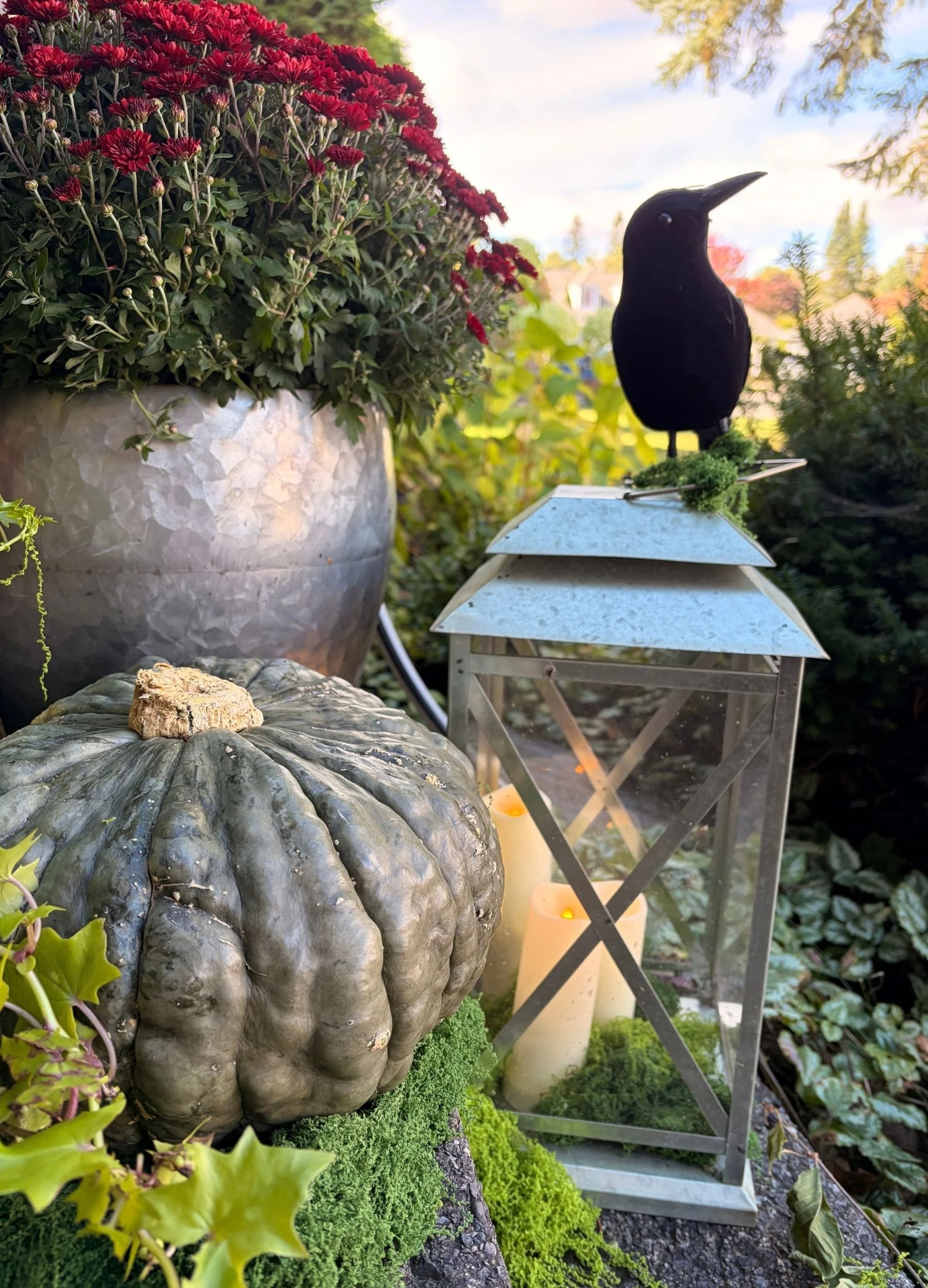 Raven perched on a glowing outdoor lantern beside a grey-green pumpkin, burgundy mums and greenery for gothic botanical Halloween decor.