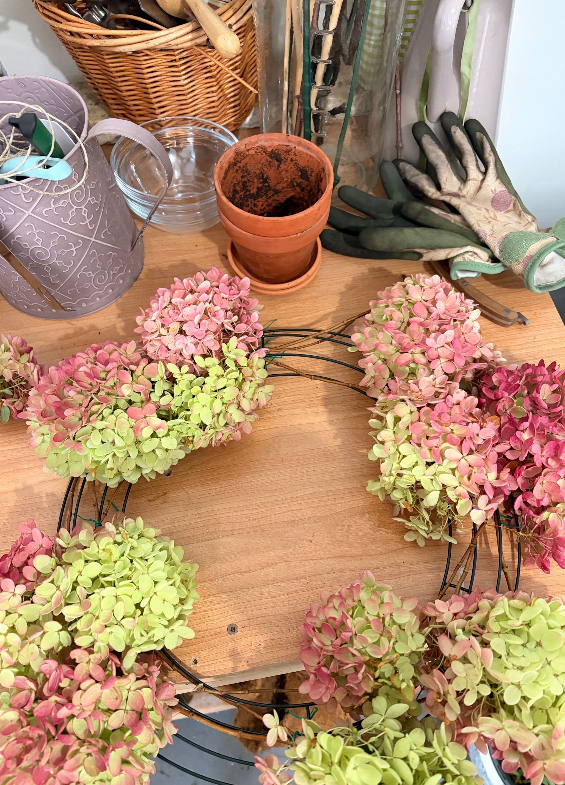 Pink and green hydrangea blooms being arranged on a wreath form at a garden potting bench.