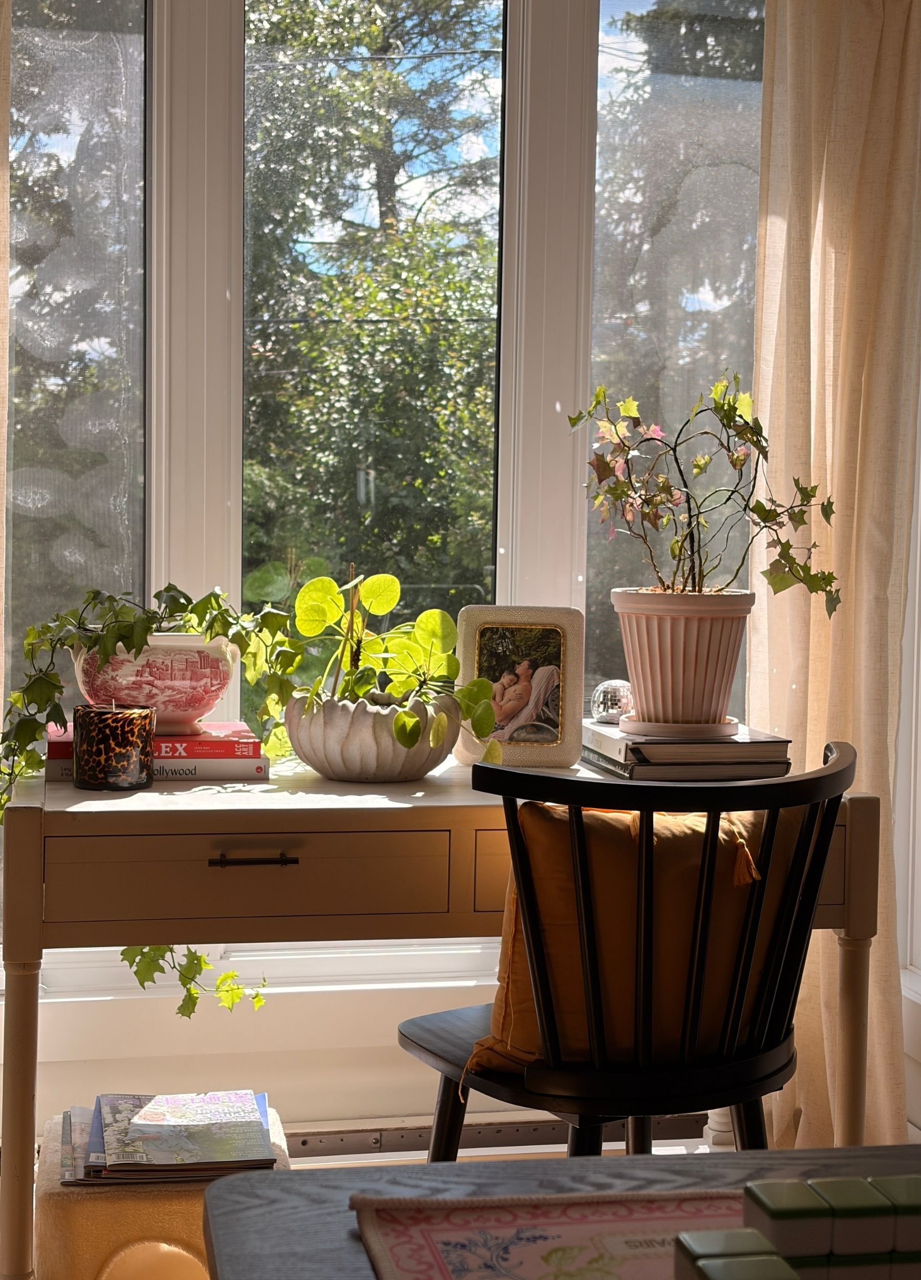 A sunny corner at home with a wooden chair, plants and flowers by the window in September.