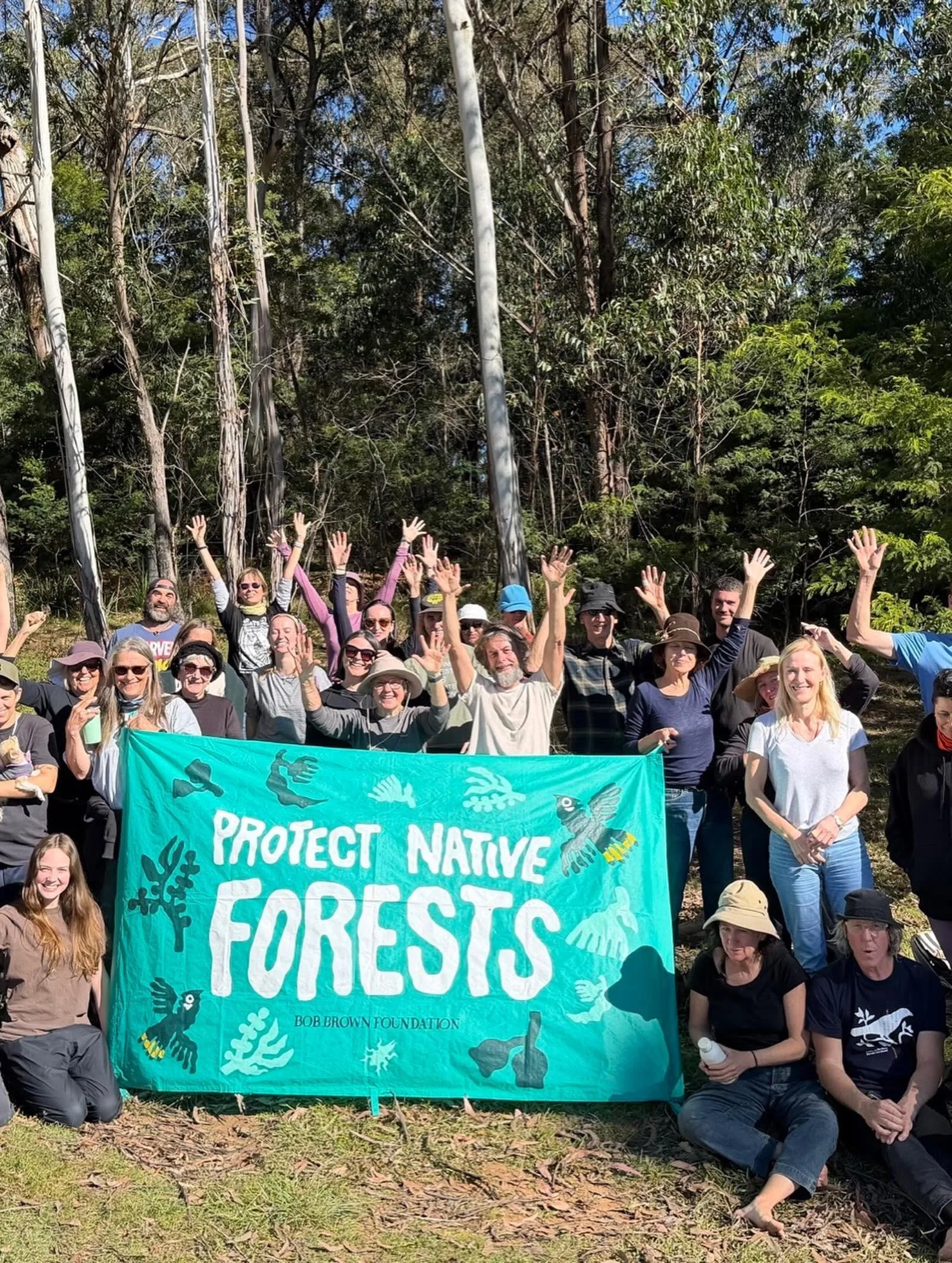 protect native forest.jpg