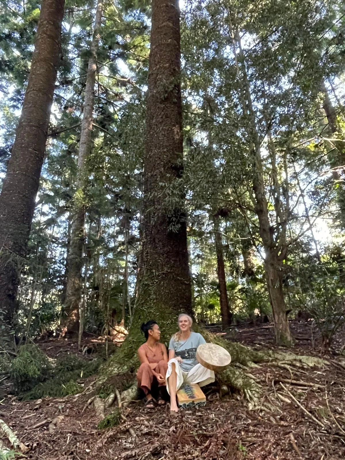 Two women sitting on a forest floor next to a large tree, smiling and talking during daytime. They are in a lush, green forest with tall trees and sunlight filtering through the canopy.