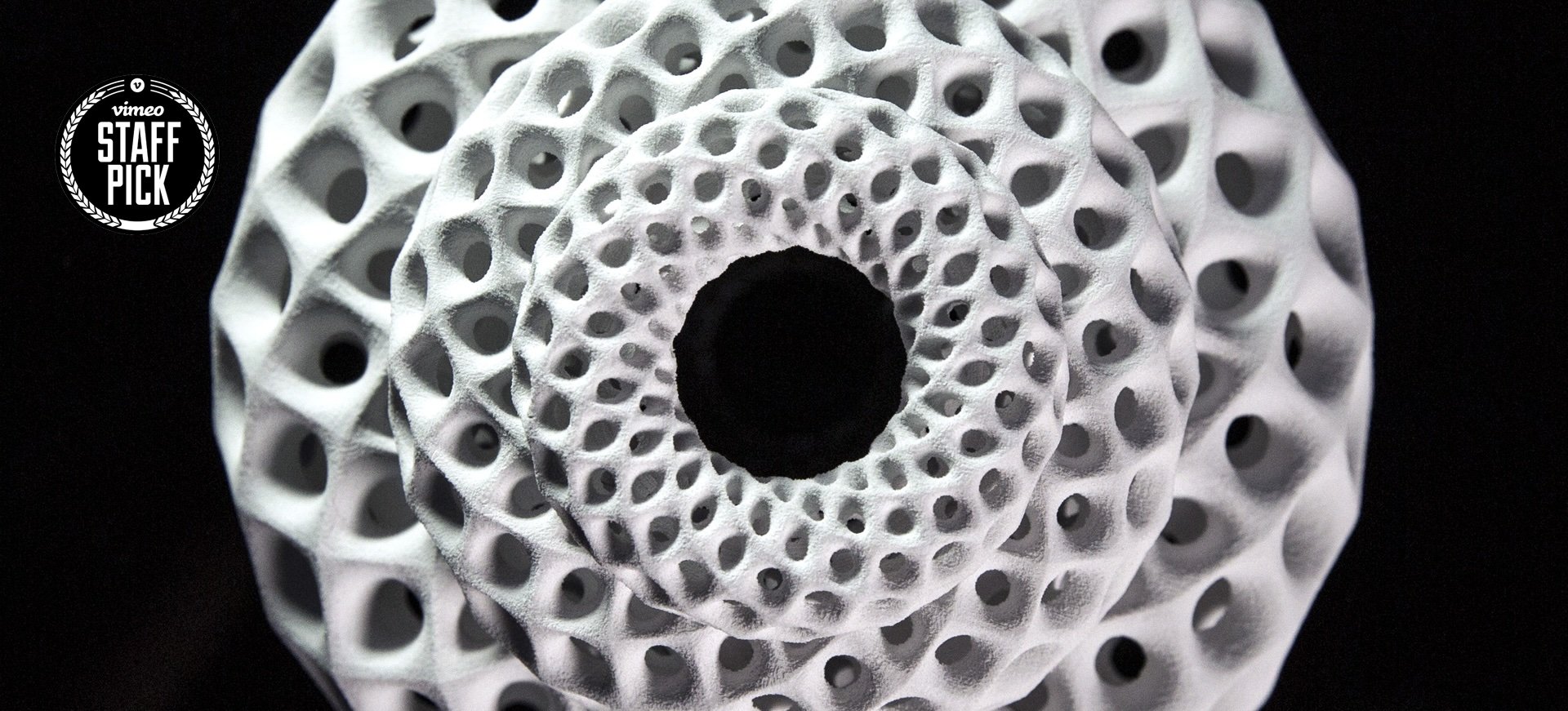 BLOOMS WIDEFORMAT.jpg