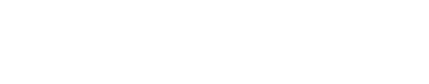 Design Champions