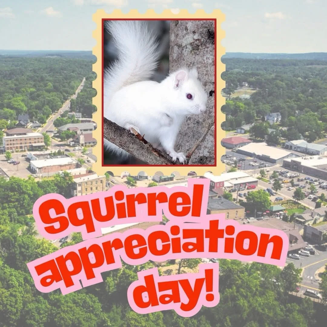 🛤️🐿️ Happy Squirrel Appreciation Day! 🐿️✨
Did you know Osceola is home to the legendary white squirrels? They&rsquo;re rare, they&rsquo;re adorable, and they have a way of turning an ordinary walk into a &ldquo;wait&mdash;did you see that?!&rdquo;