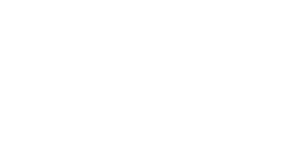 XVLA