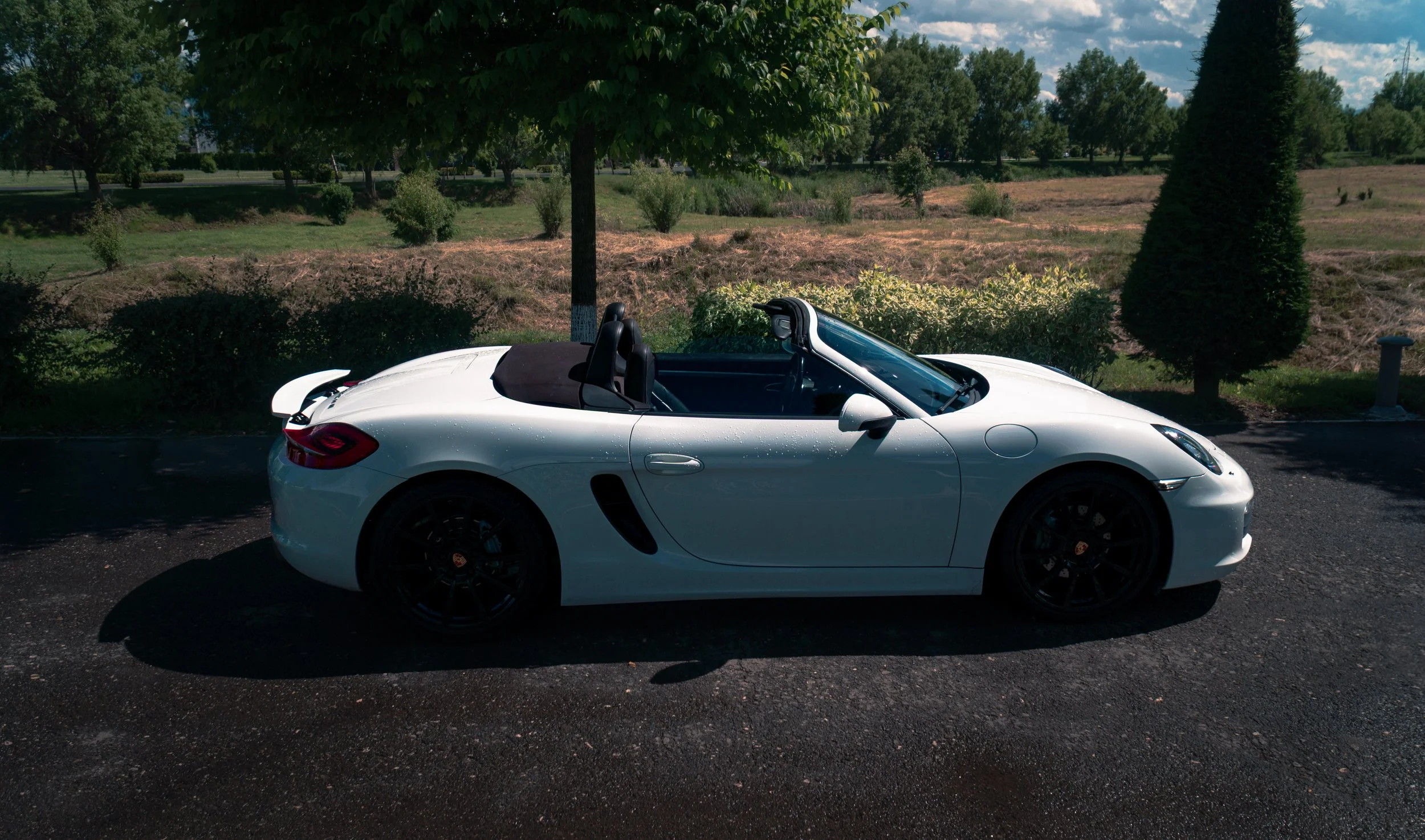 A white convertible sports car parked beside a sidewalk with trees and bushes in the background on a sunny day.