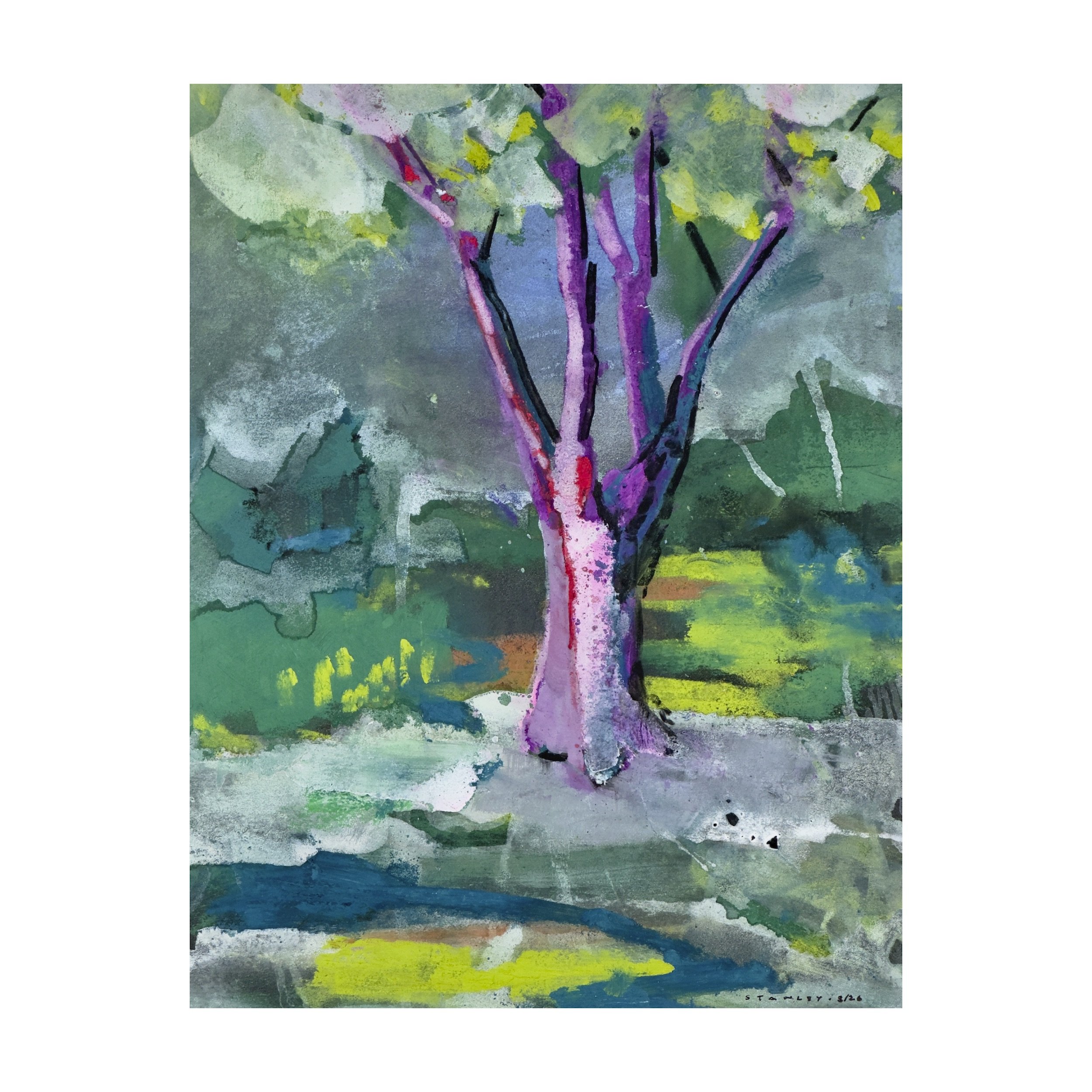 Silver Maple Spring
