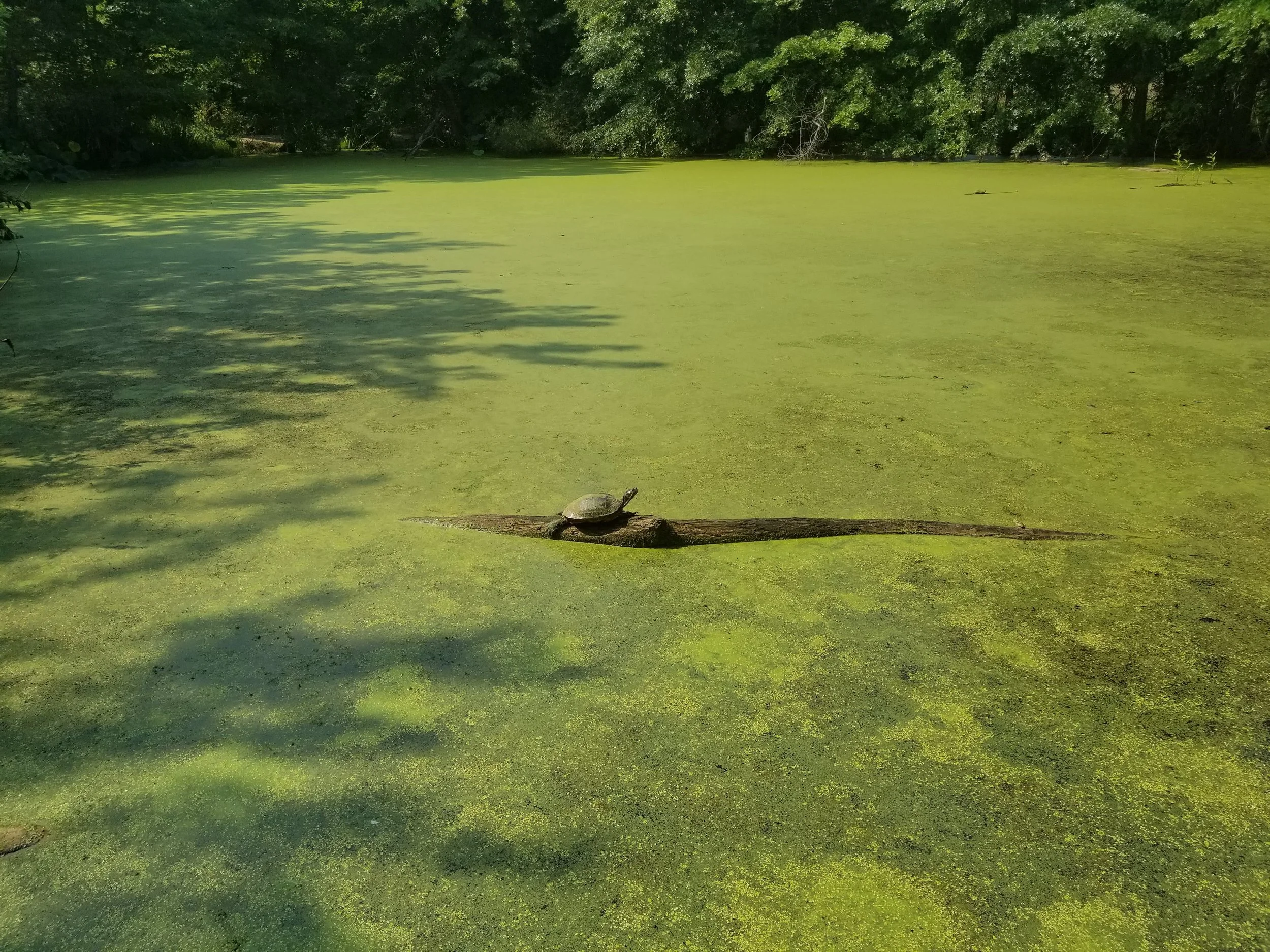20180814_160330.jpg