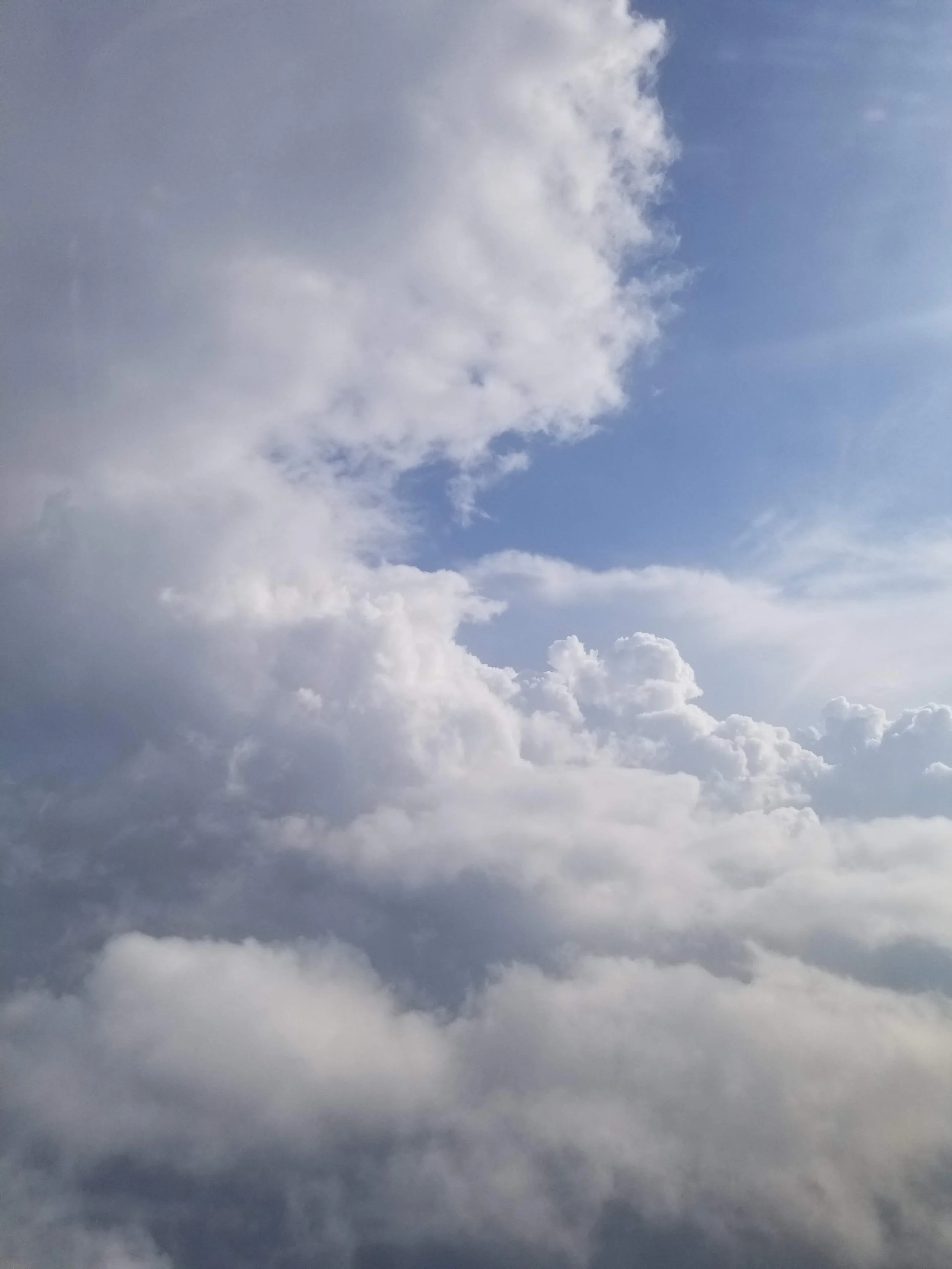 20180816_175558.jpg