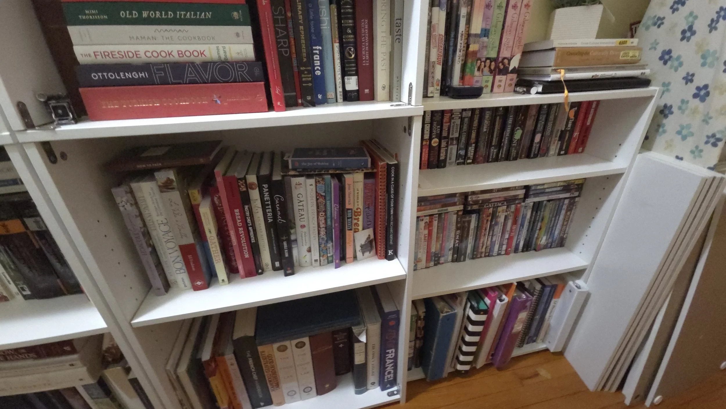 20260210_164246.jpg