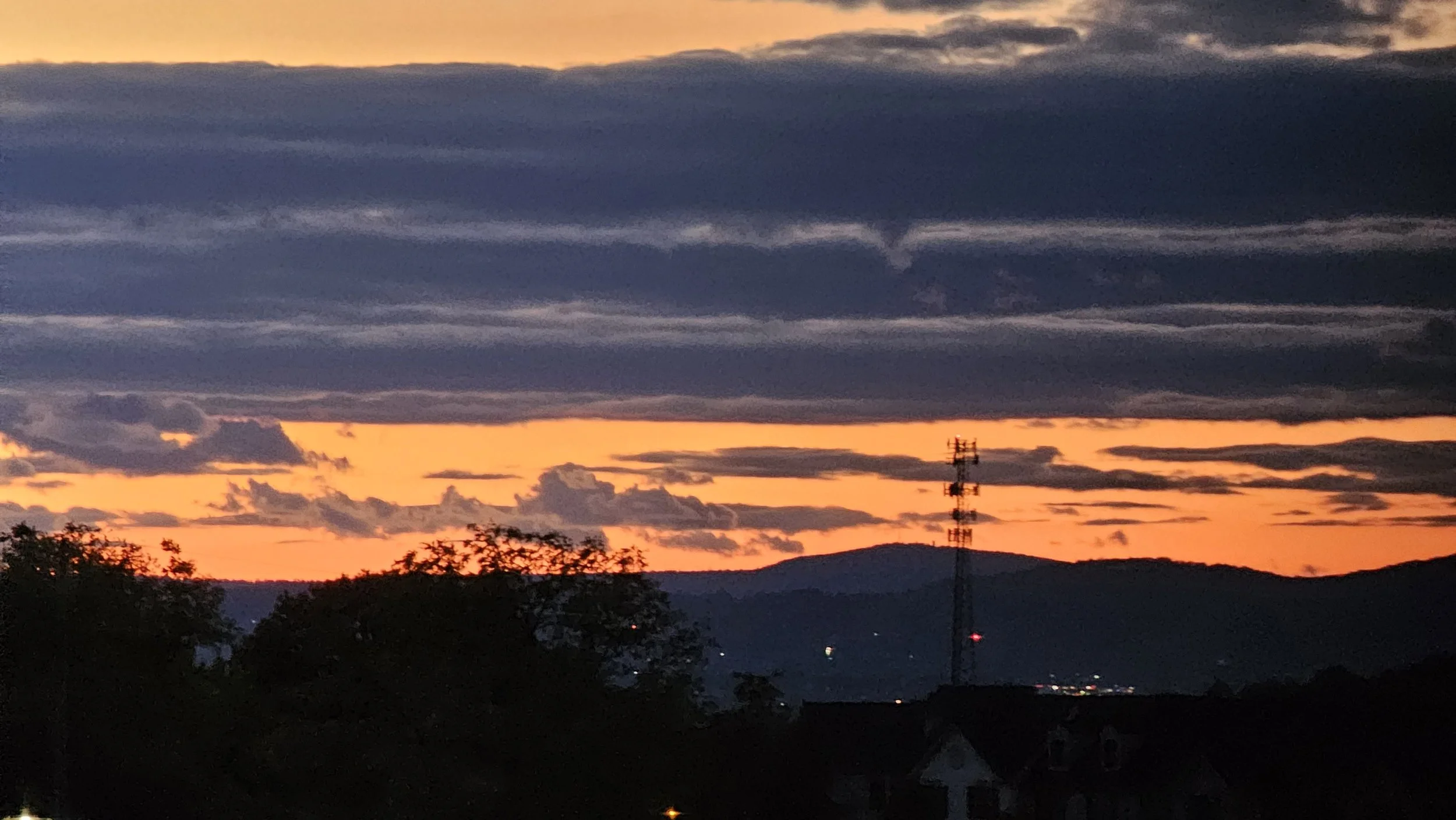 20231007_190307.jpg