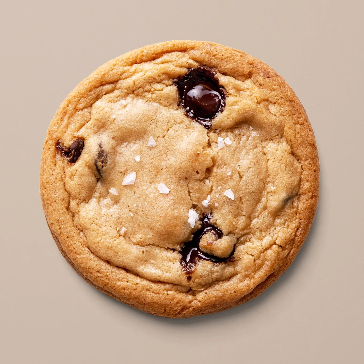 Good Afternoon Chocolate Chip Cookie