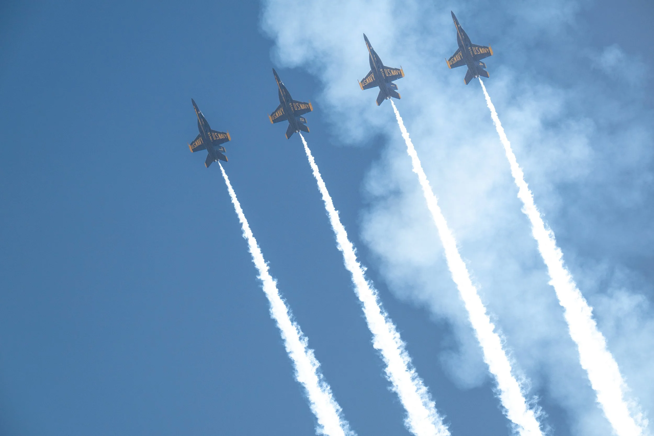 DSC_5287.jpg