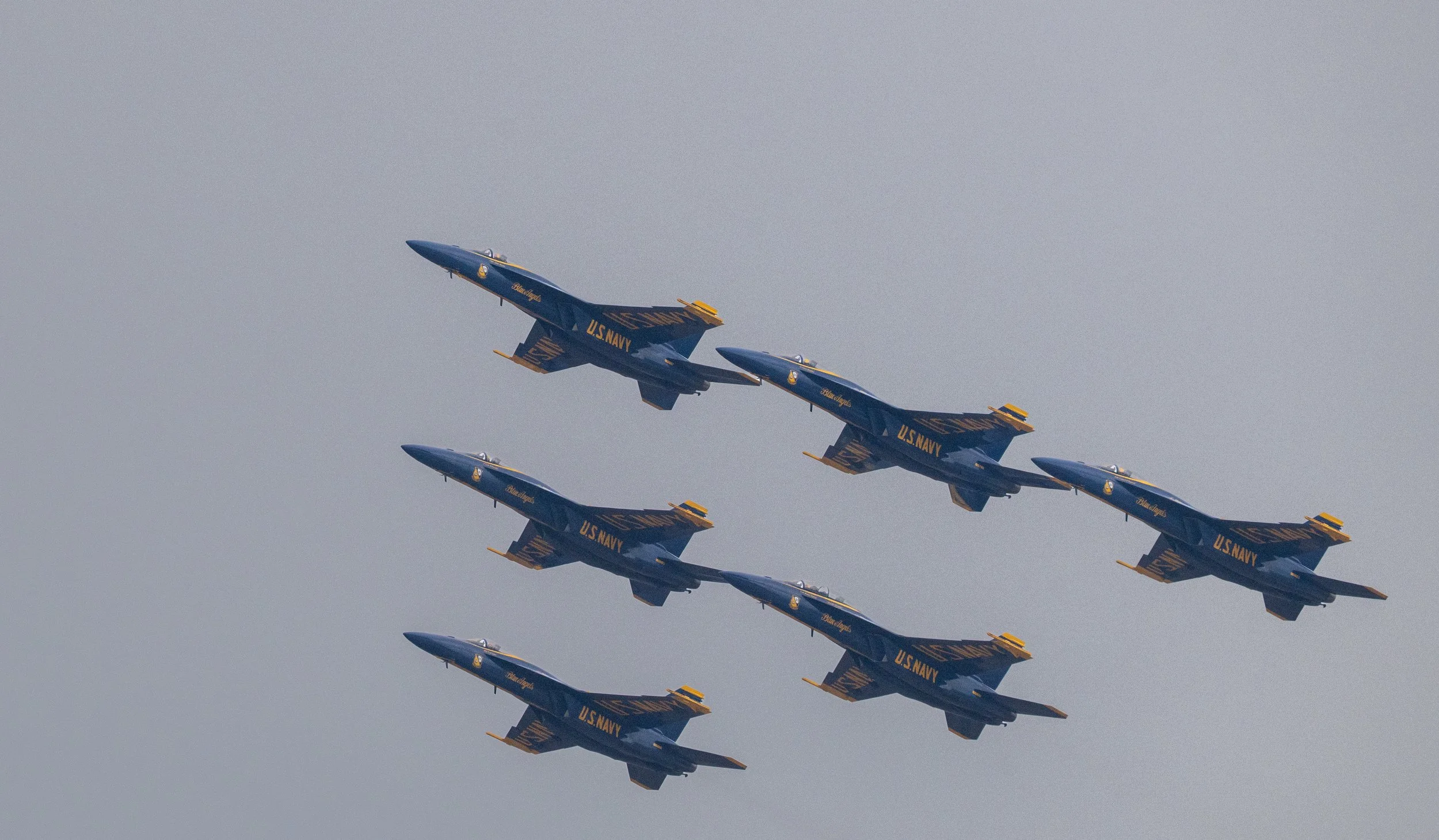 DSC_1733.jpg