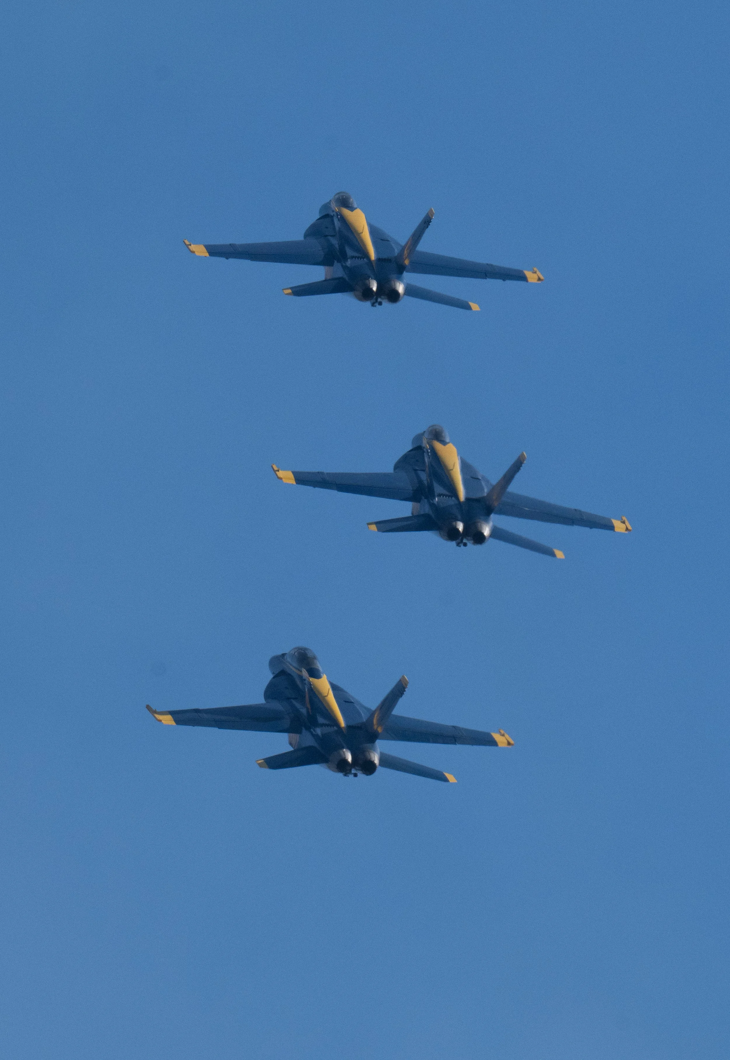 DSC_5349.jpg