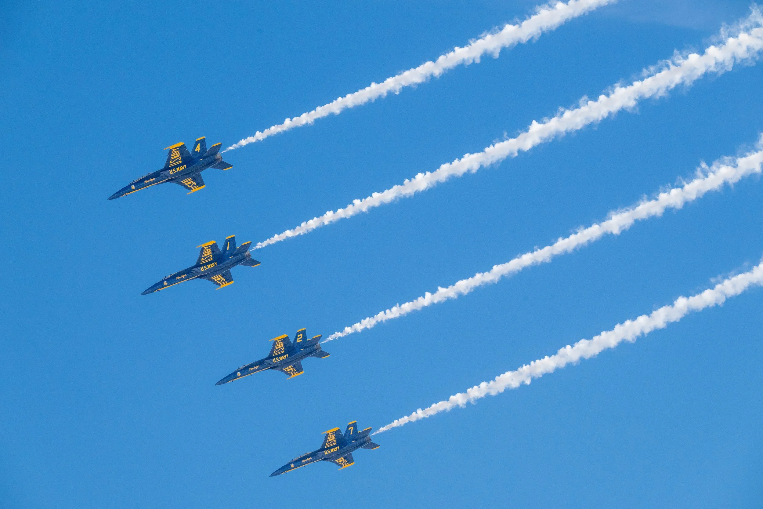 DSC_5296-2.jpg
