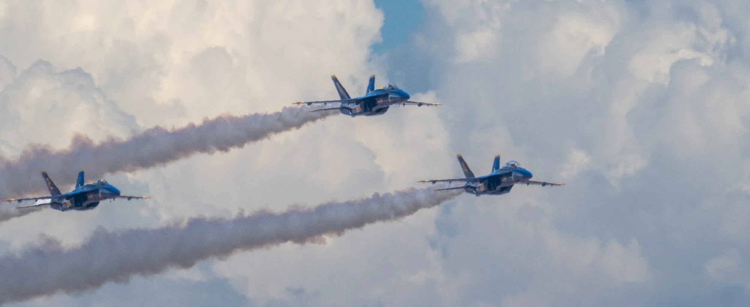 DSC_5004.jpg