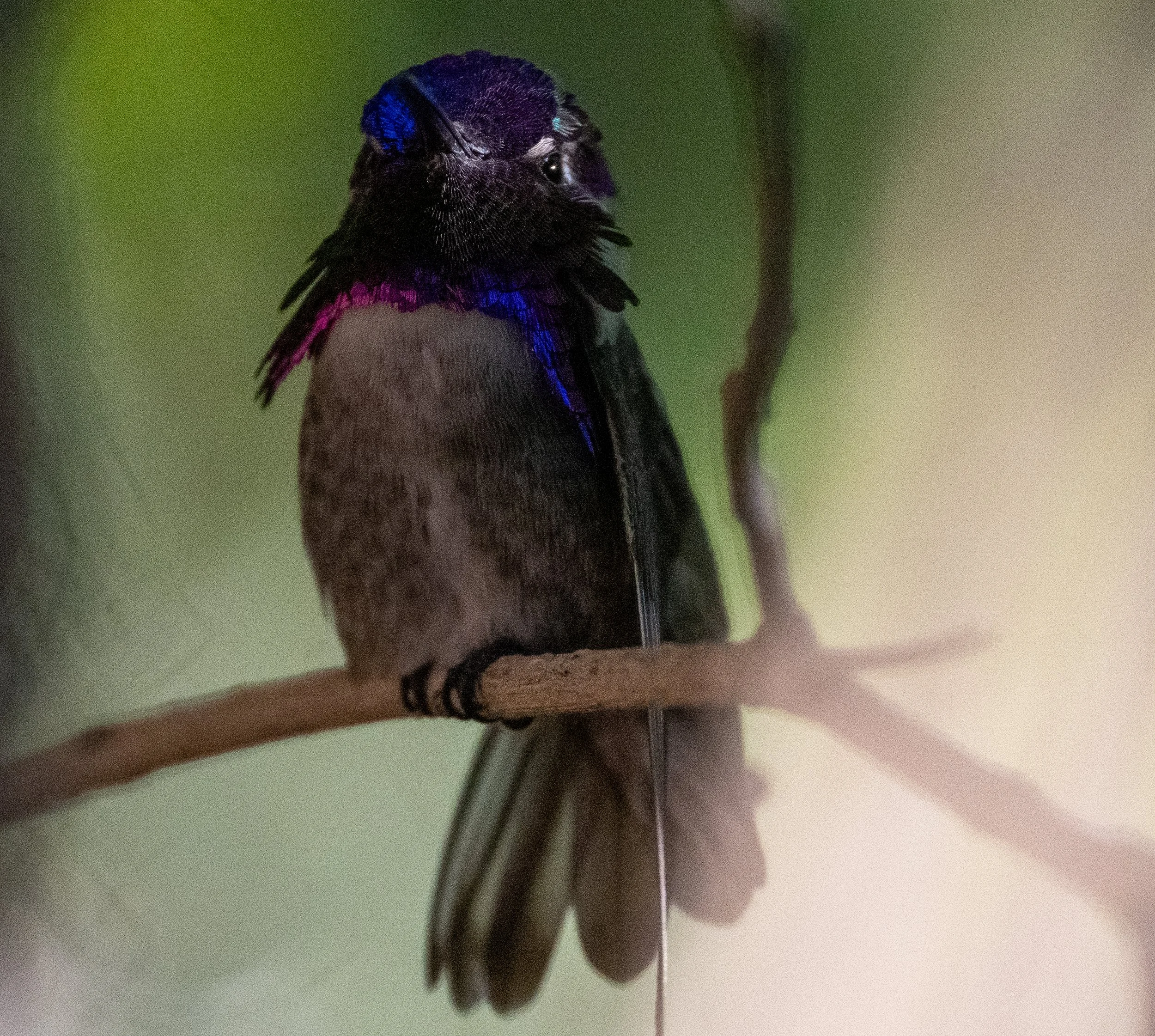 DSC_9493.jpg
