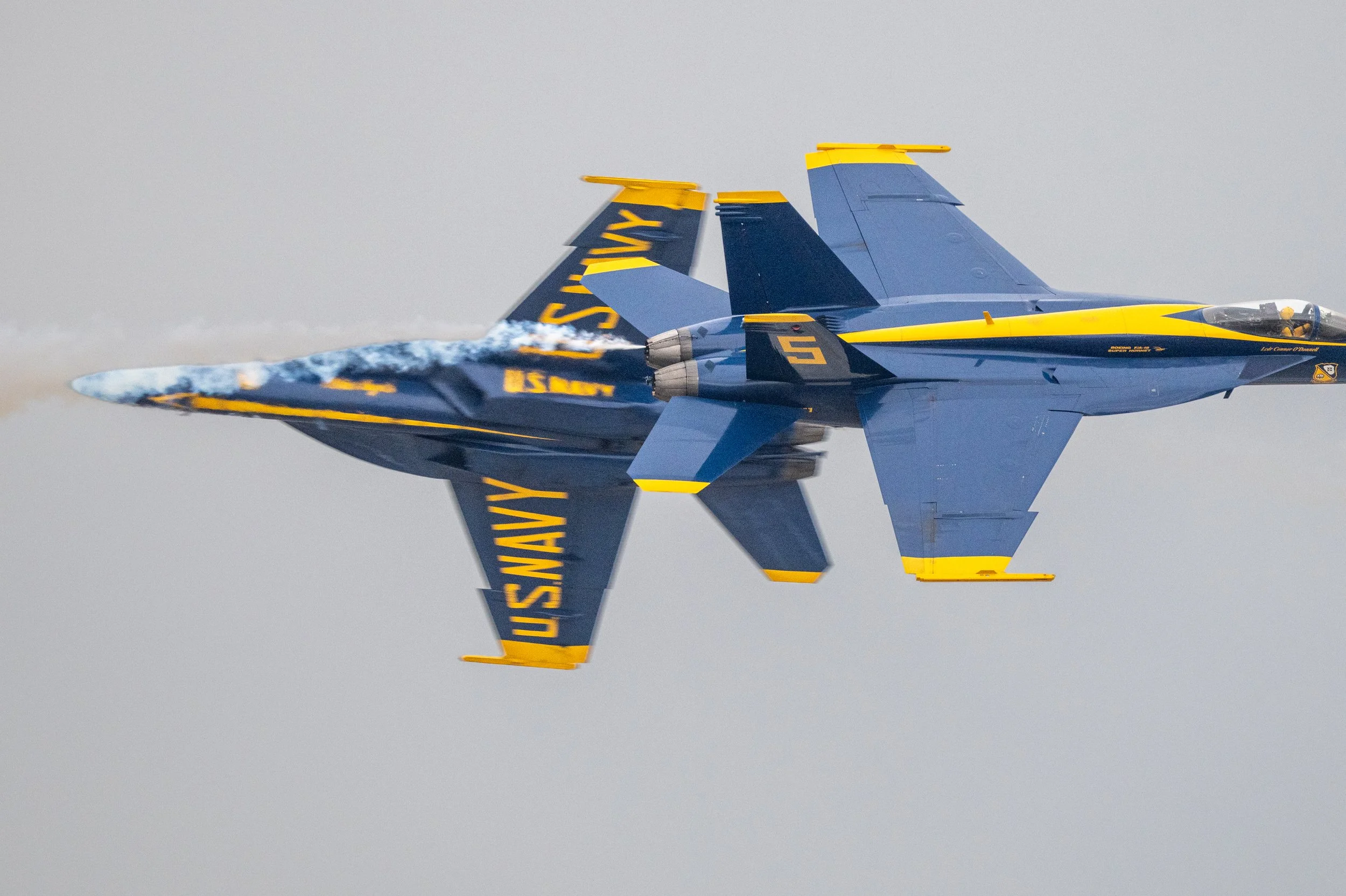 DSC_0344.jpg