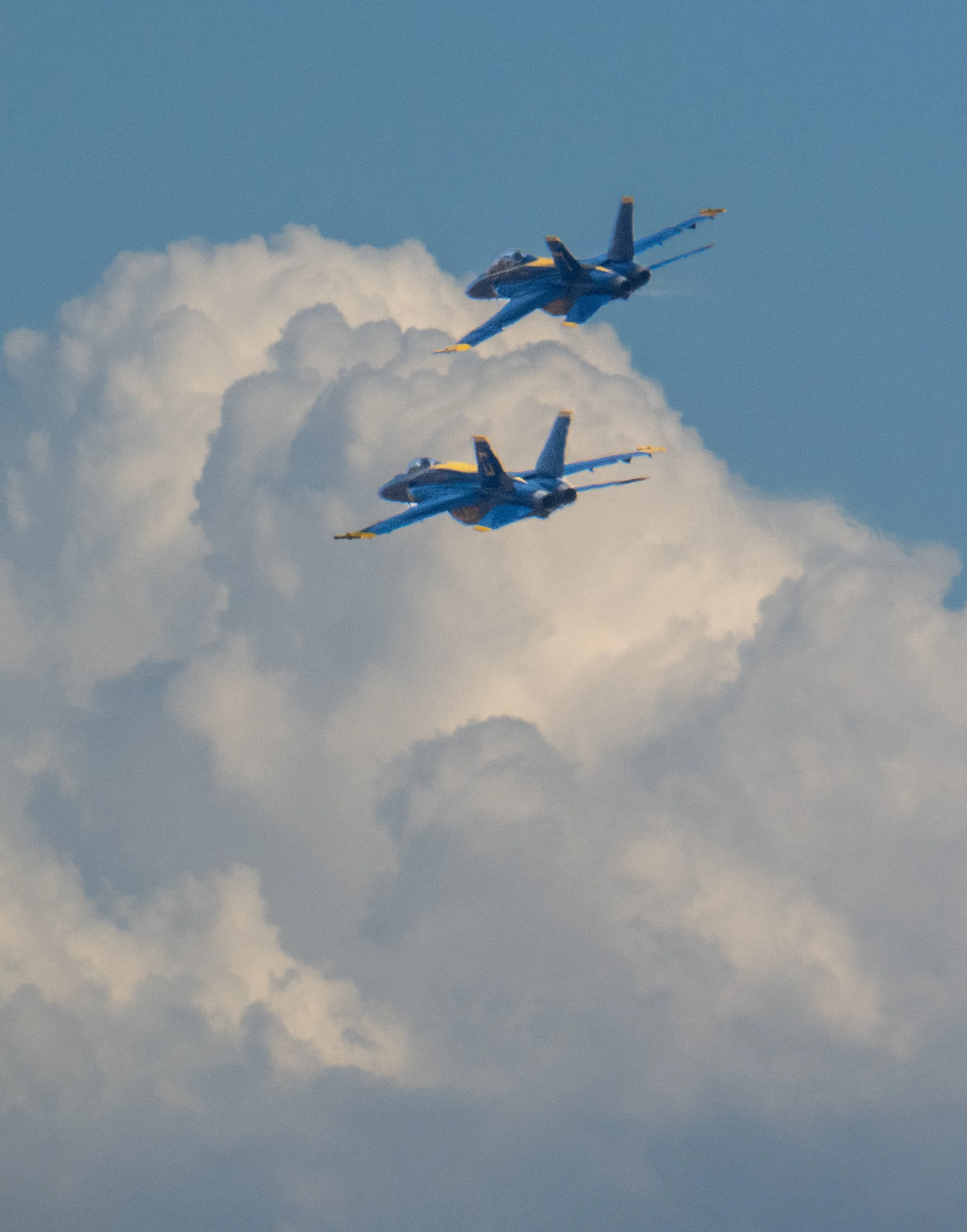 DSC_5462.jpg