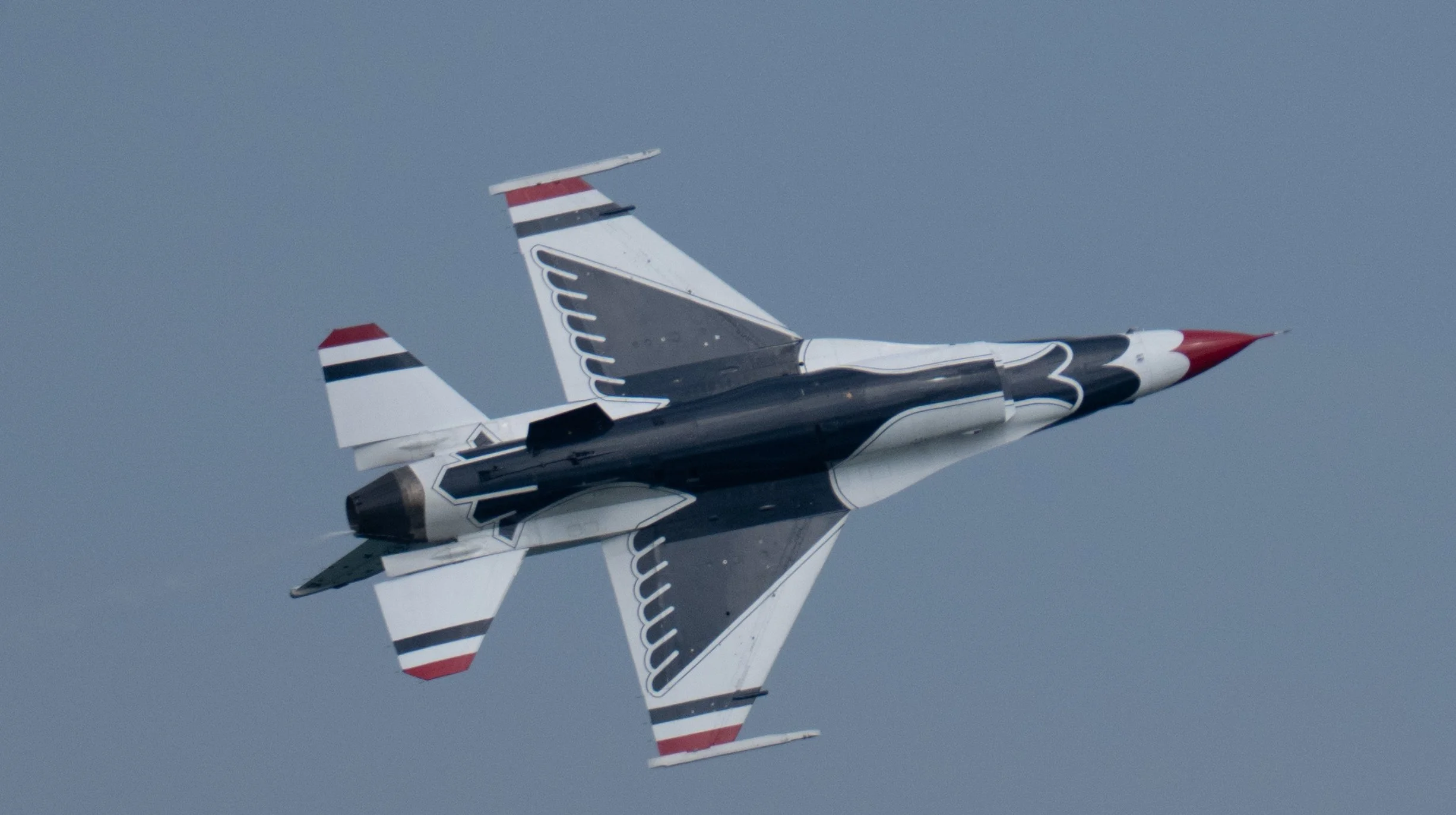 DSC_1907.jpg
