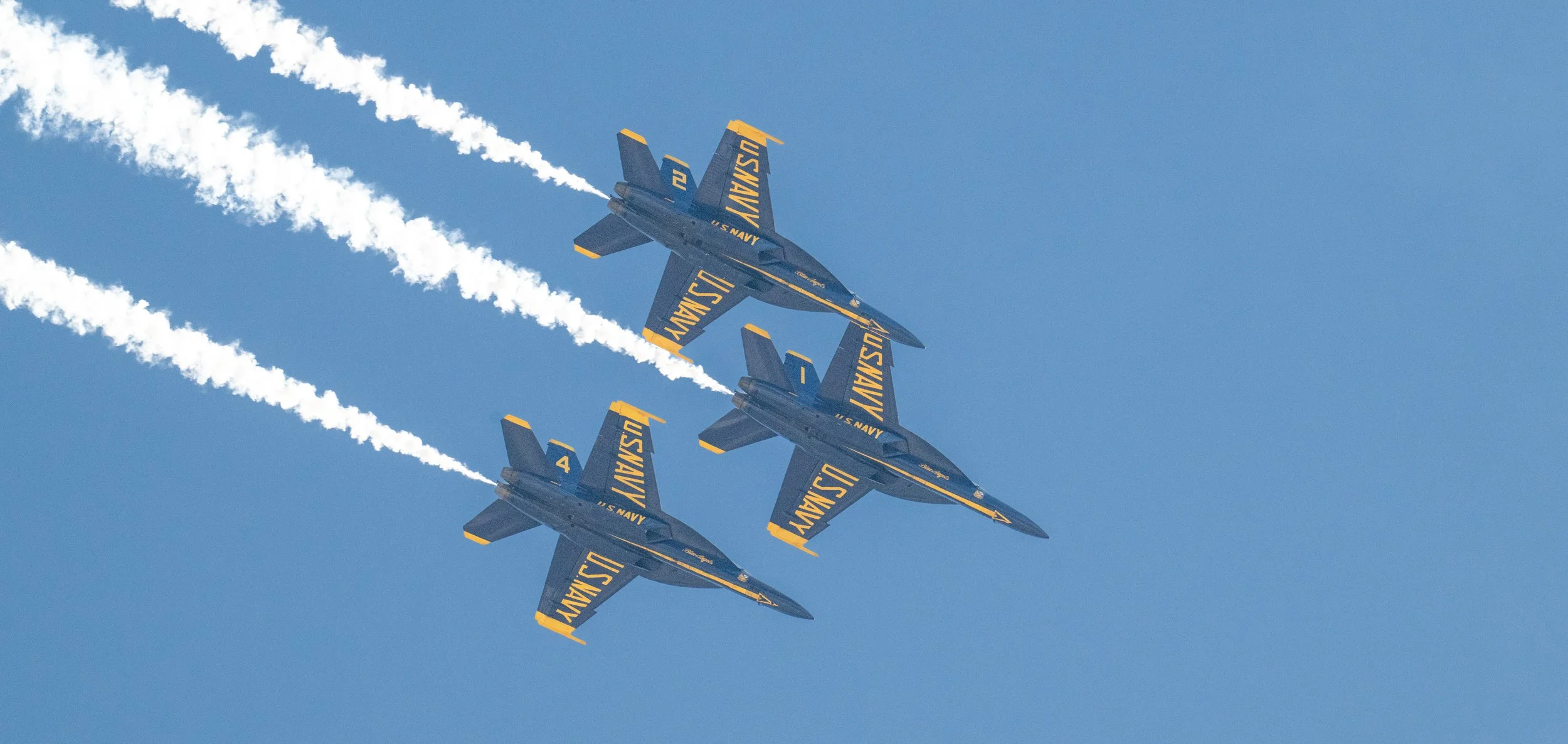 DSC_5595.jpg