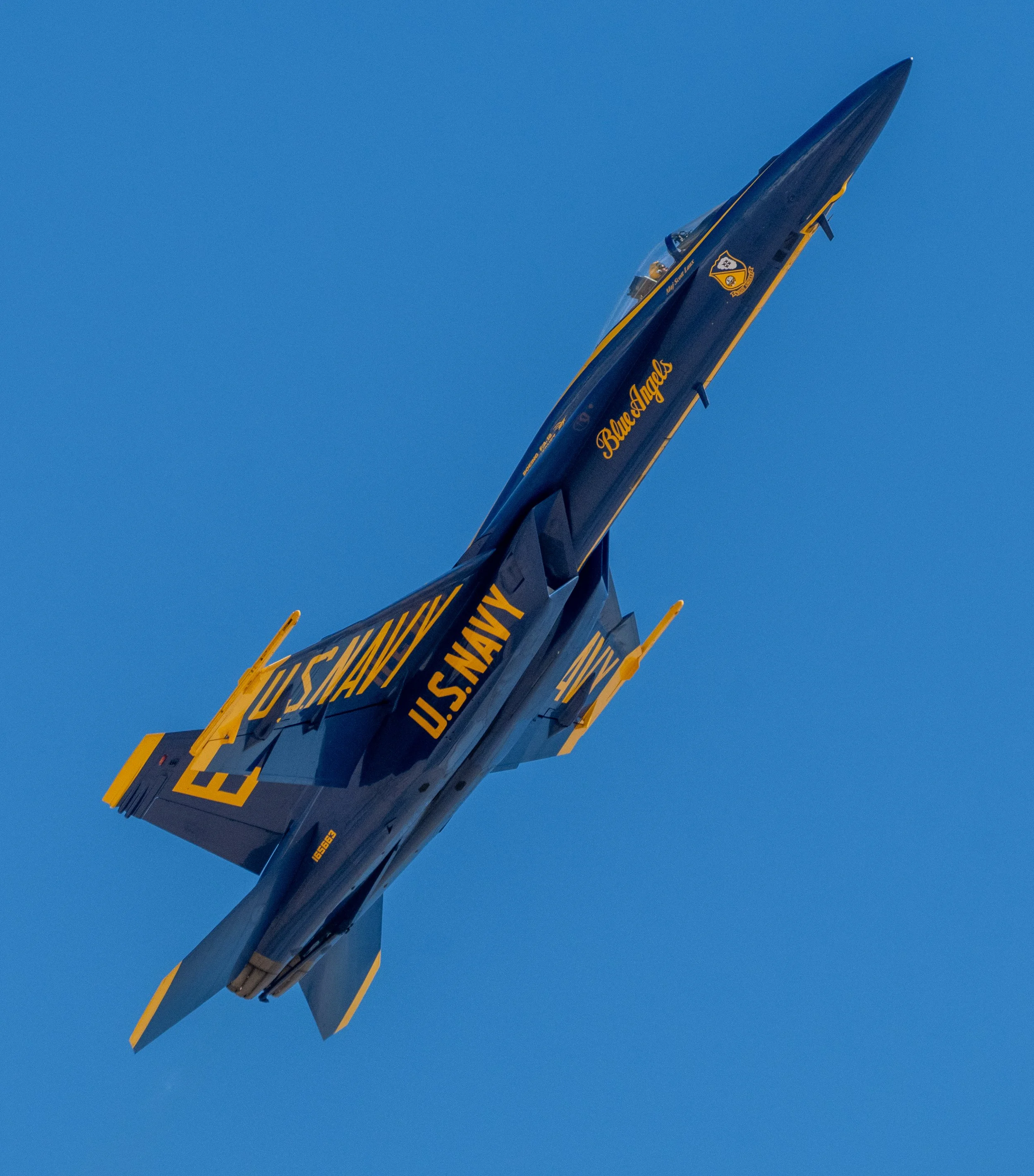 DSC_4130.jpg