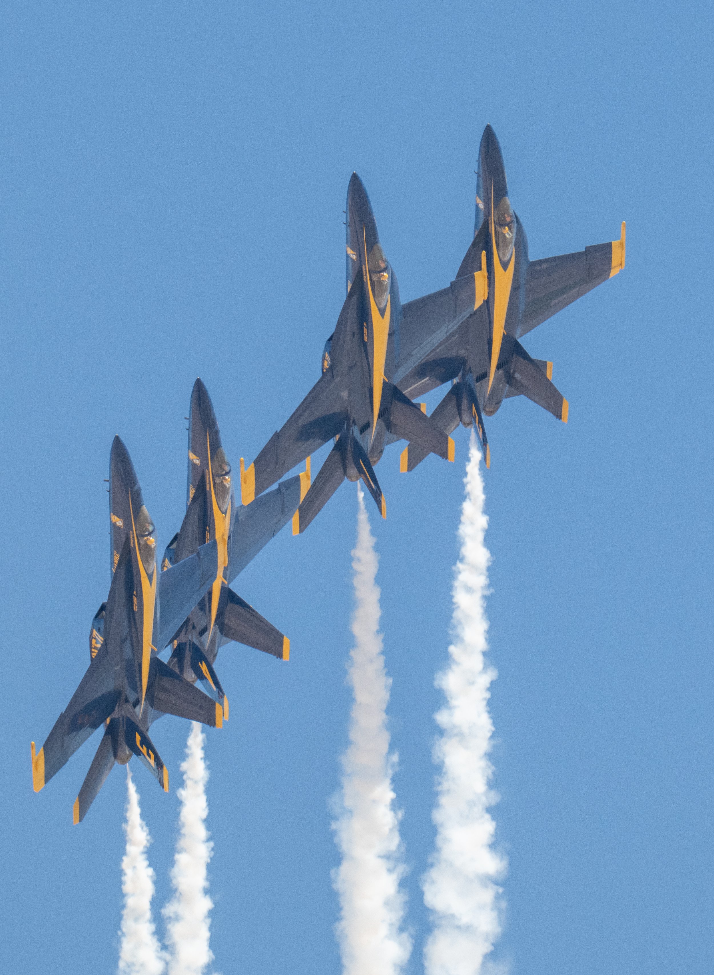 DSC_3942.jpg