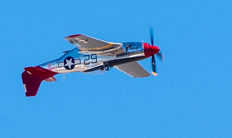DSC_6016.jpg