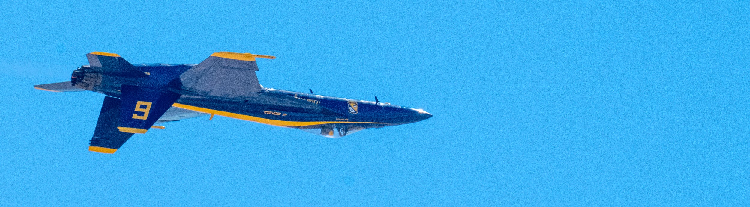 DSC_5643.jpg