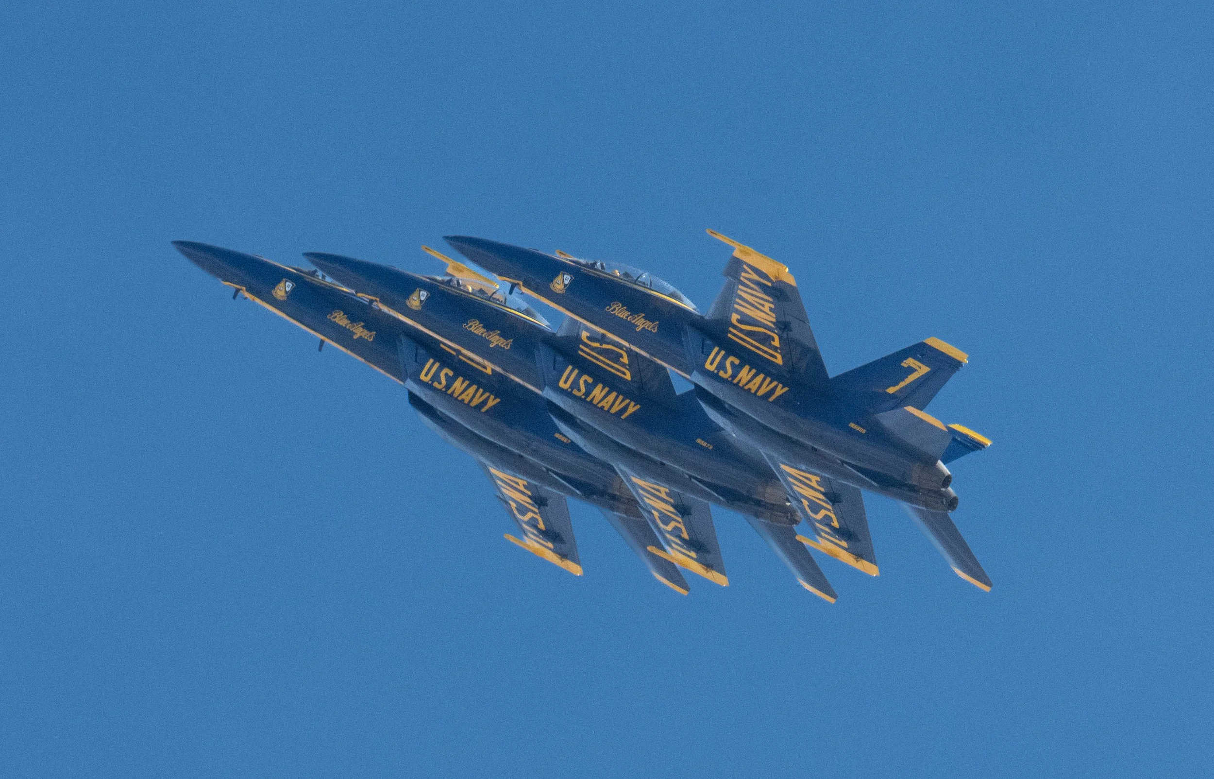 DSC_5629.jpg