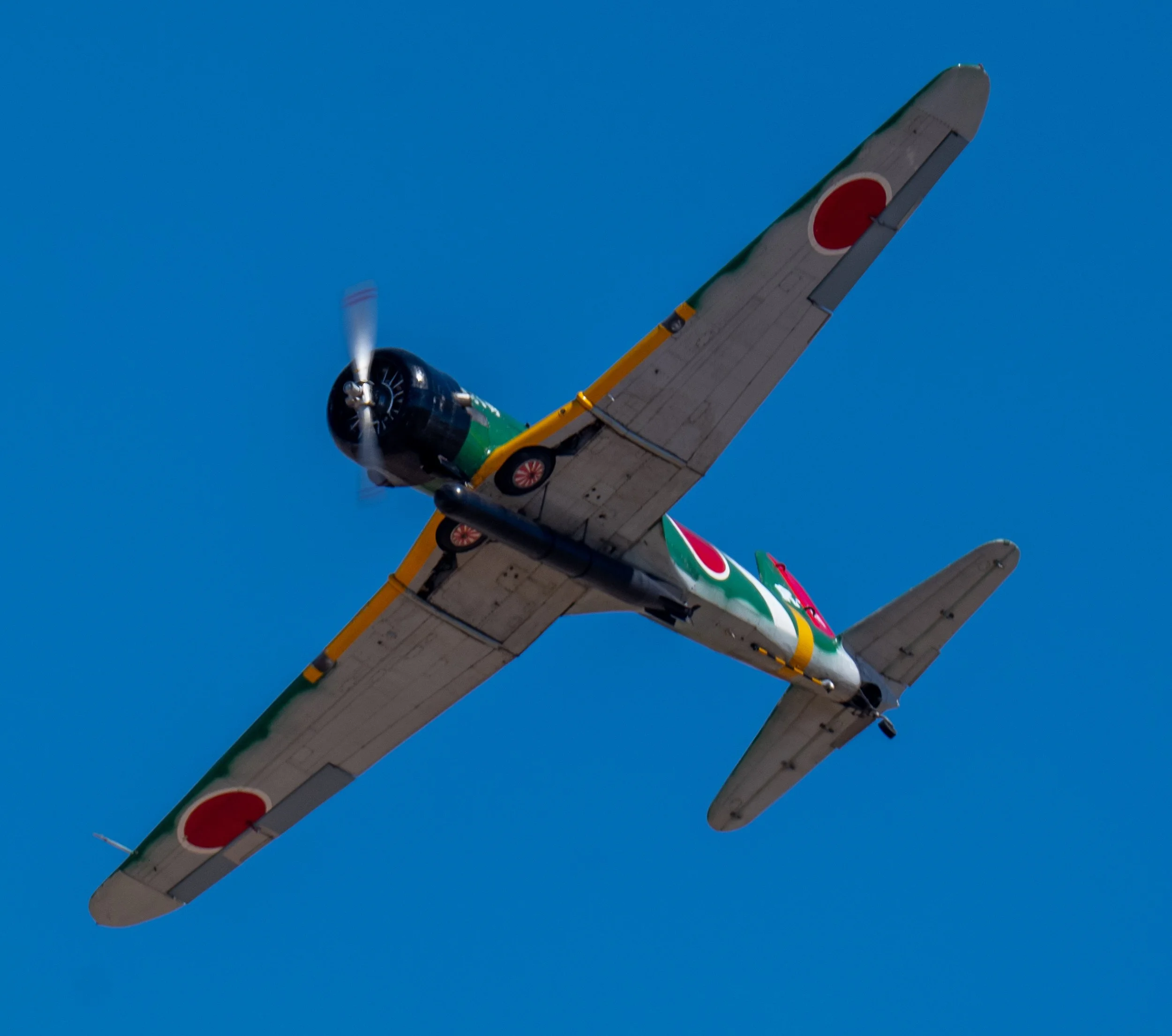 DSC_5904.jpg