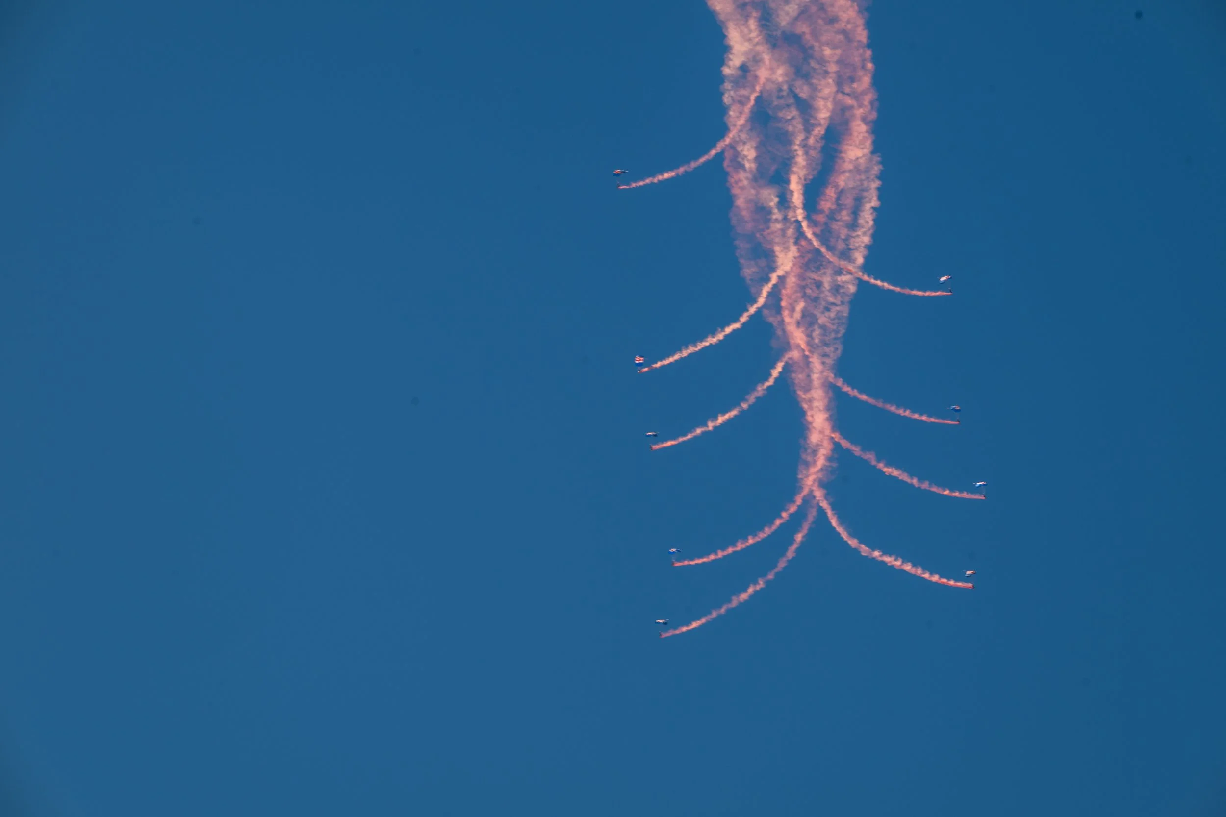 DSC_4256.jpg