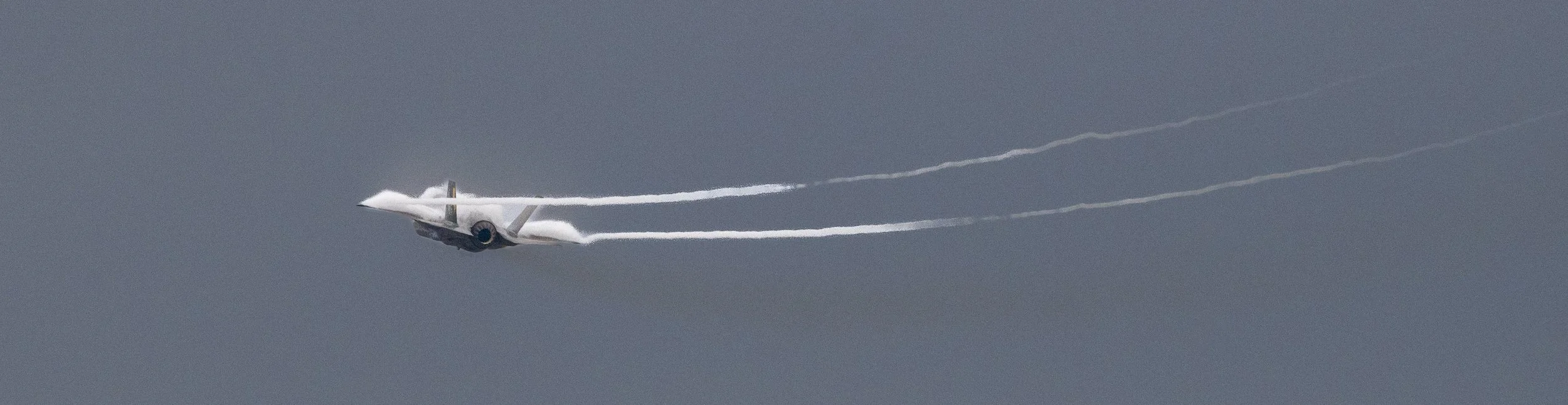 DSC_8091.jpg