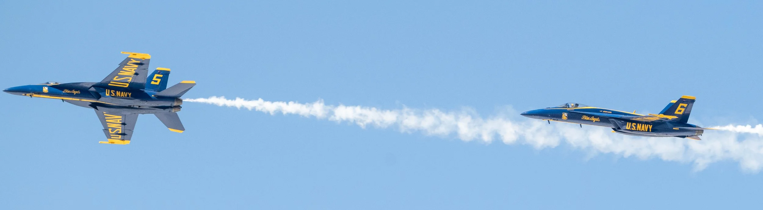 DSC_4224.jpg
