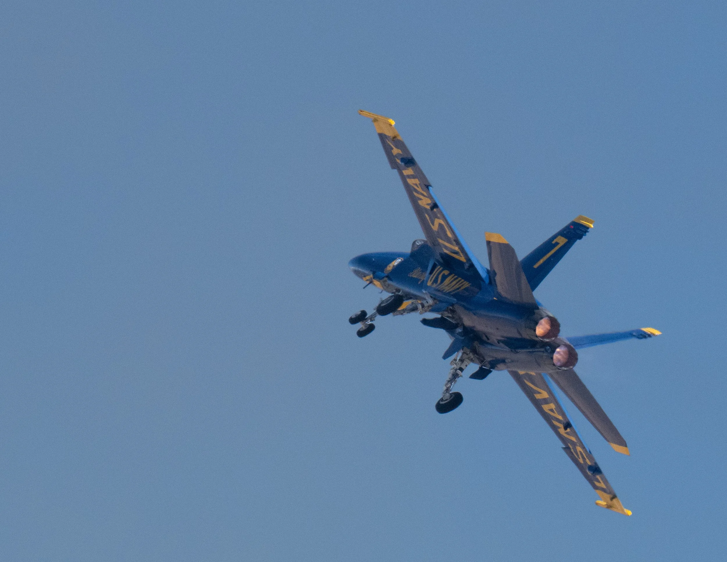 DSC_4879.jpg