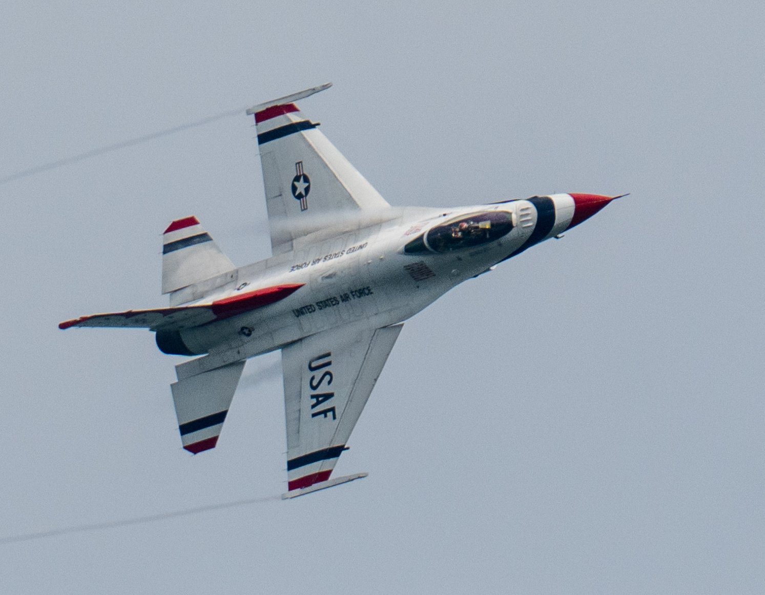 DSC_2017.jpg
