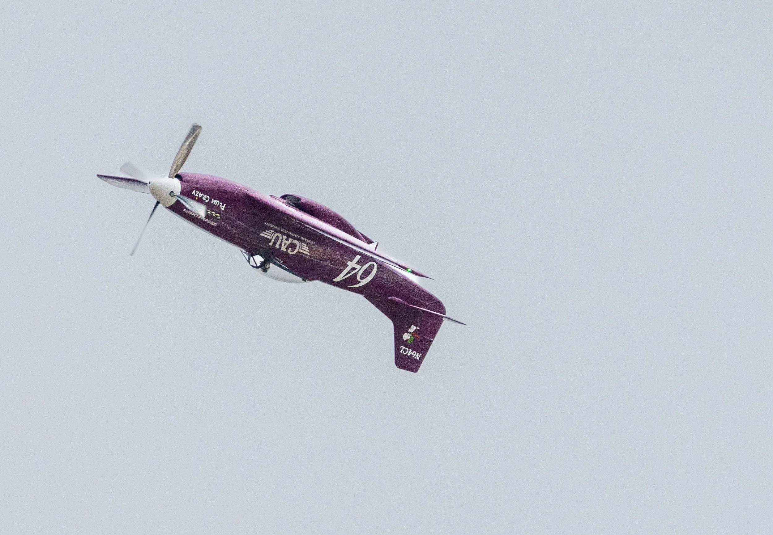 DSC_7768.jpg