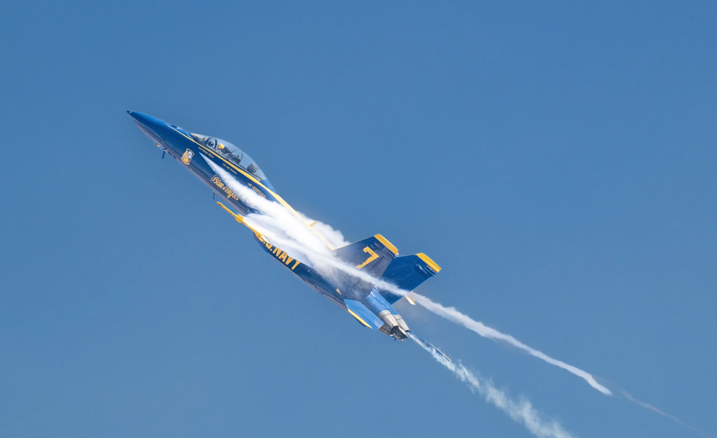 DSC_5390.jpg